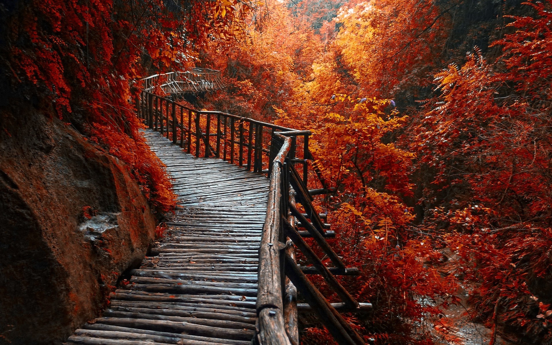1920x1200 nature, Landscape, River, Forest, Fall, Walkway, Path, Trees, Leaves  Wallpapers HD / Desktop and Mobile Backgrounds