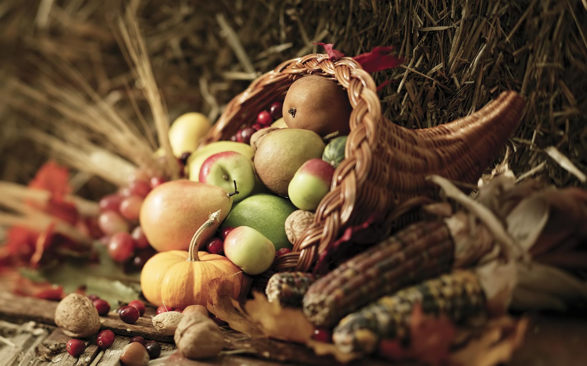 1920x1200 ... animated-thanksgiving-desktop-backgrounds-wide-photos-hd-wallpapers-