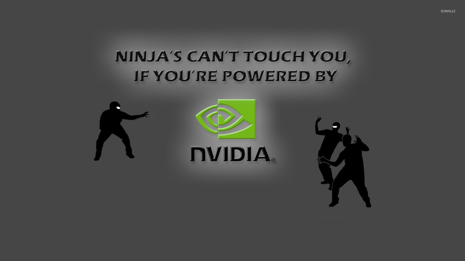 1920x1080 Ninjas vs Nvidia wallpaper