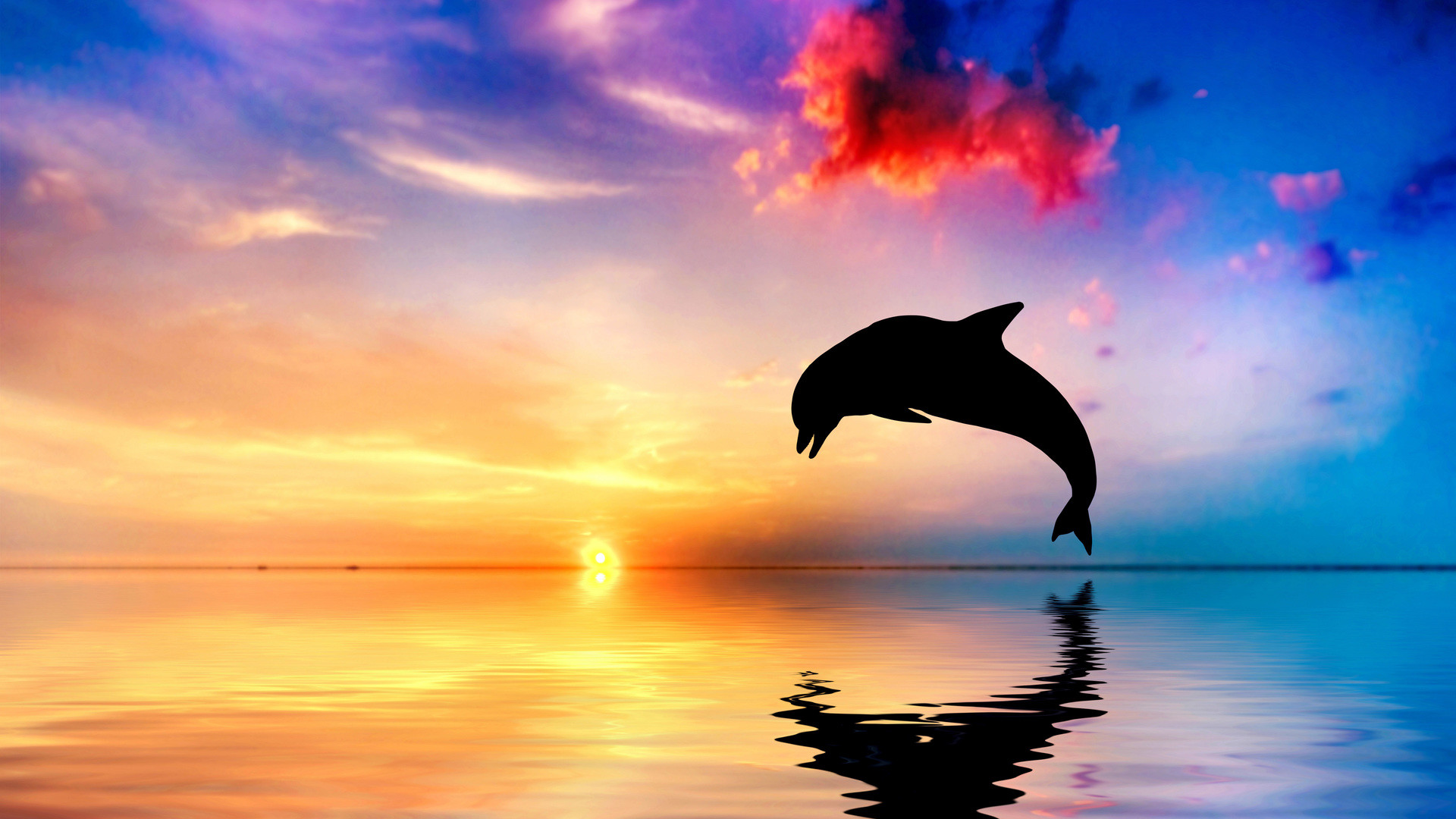 1920x1080 dolphin-jumping-out-of-water-sunset-view-4k-
