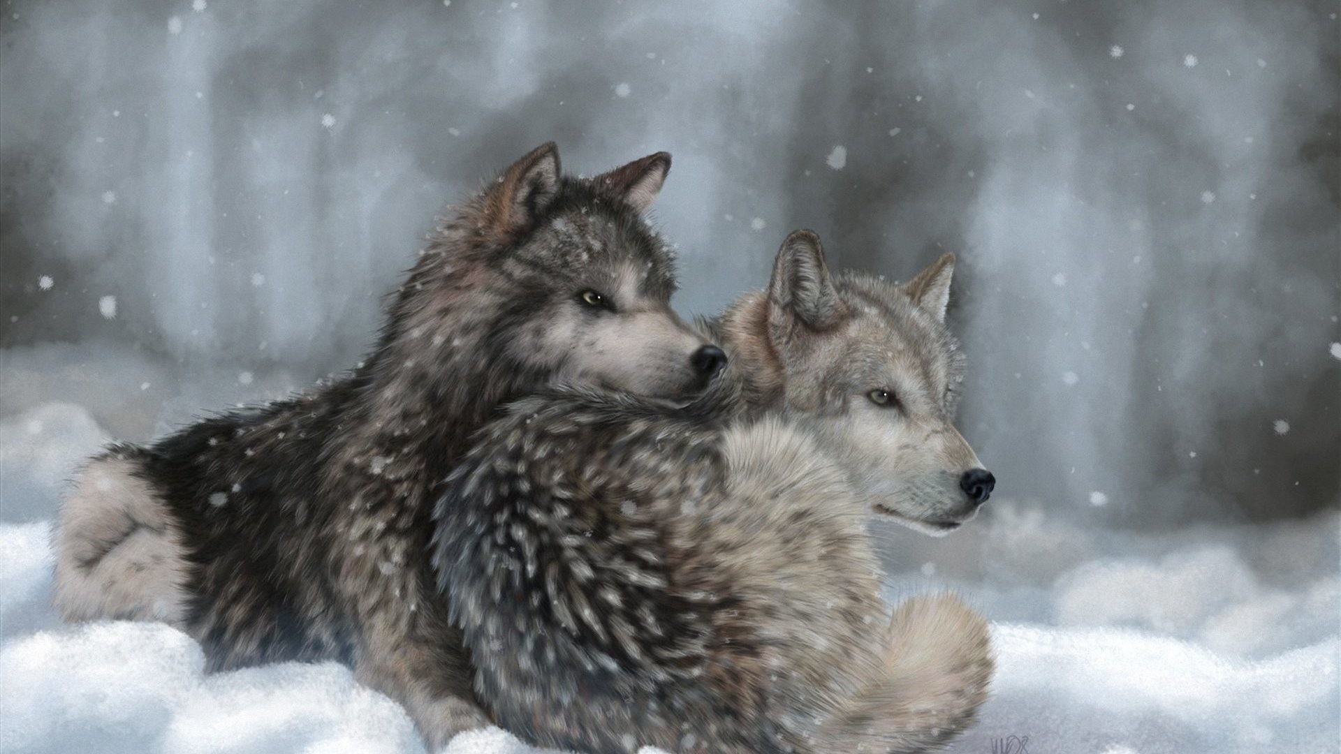 1920x1080 Art Wolves Lying Wolf Winter Snow Wallpapers Dogs Hd - 1920x1359