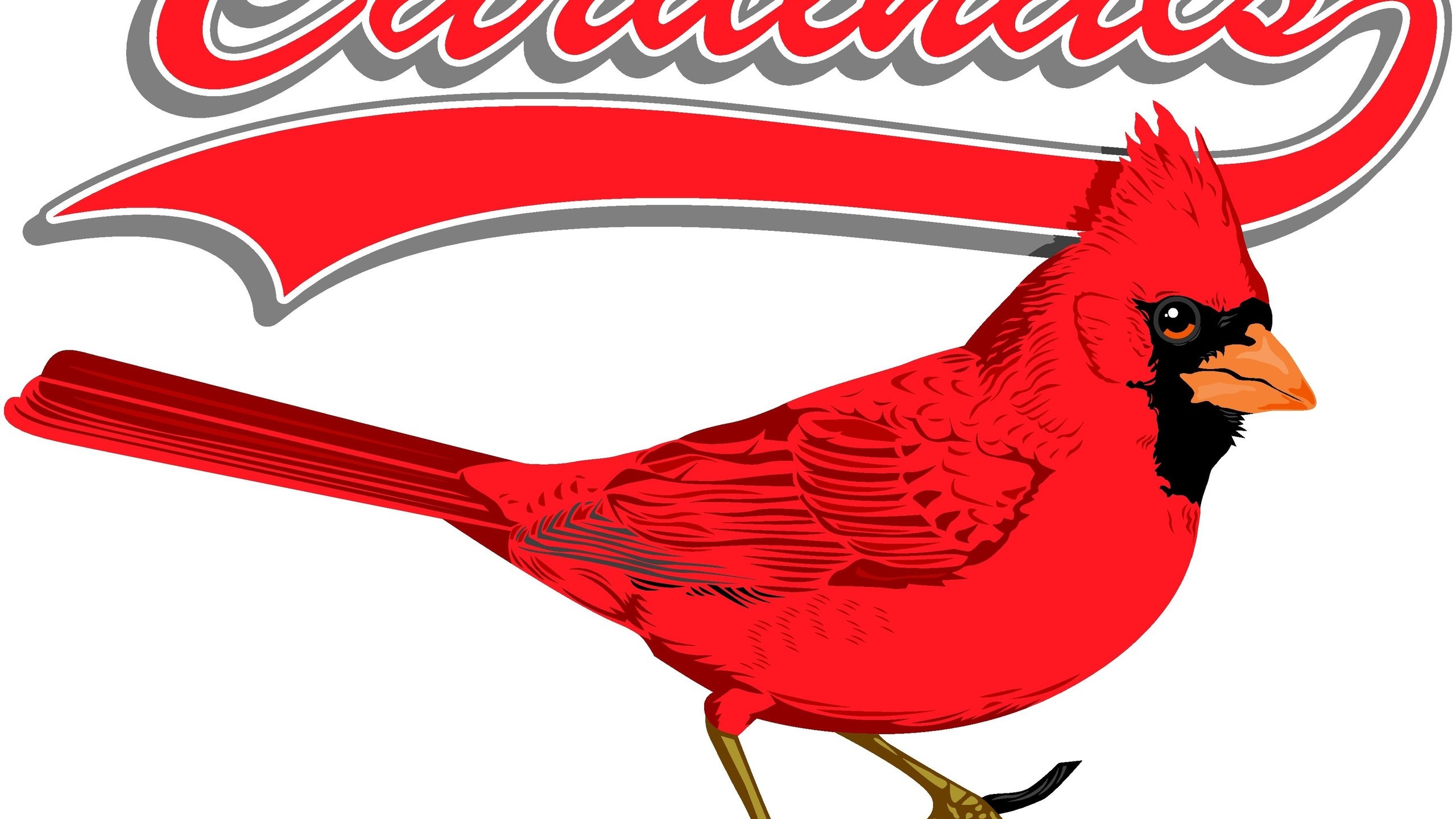 2560x1440 Free Arizona Cardinals Wallpapers Download PixelsTalk ideas about Cardinals  Wallpaper on Pinterest Arizona 