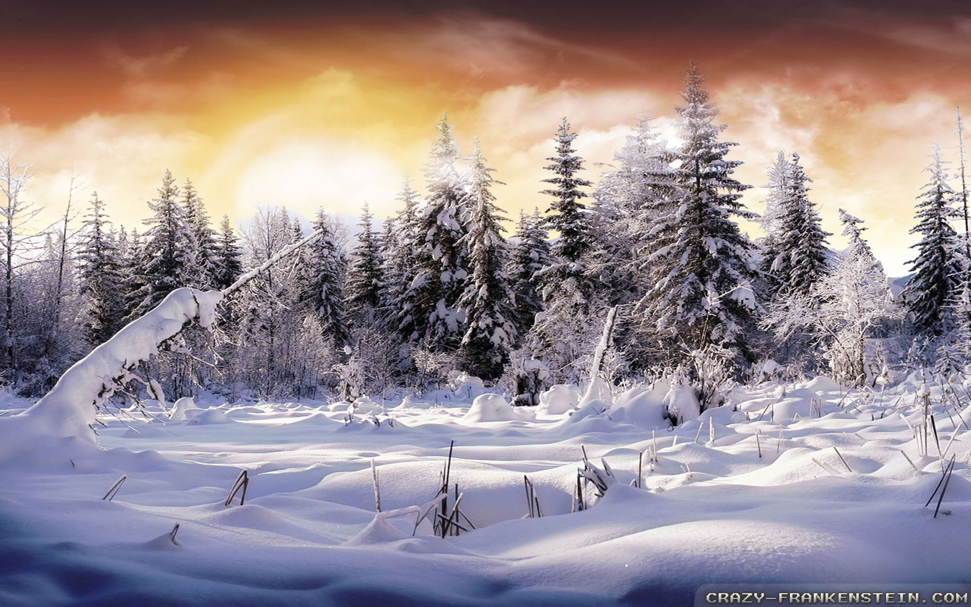 1920x1200 Wallpaper: Beautiful winter landscape wallpapers. Resolution: 1024x768 |  1280x1024 | 1600x1200. Widescreen Res: 1440x900 | 1680x1050 | 