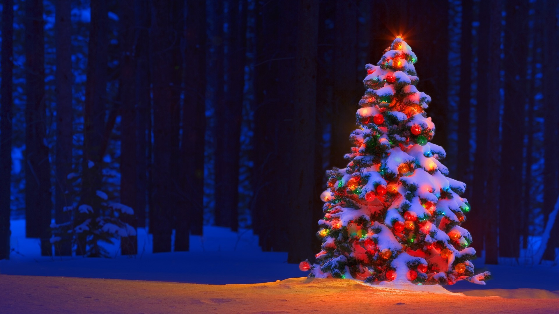 1920x1080 Christmas Lights Tree Desktop Backgrounds.