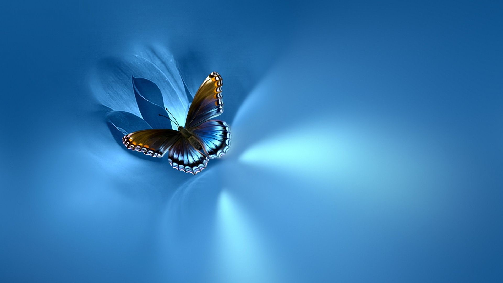 1920x1080 Blue Butterfly Wallpaper Desktop.