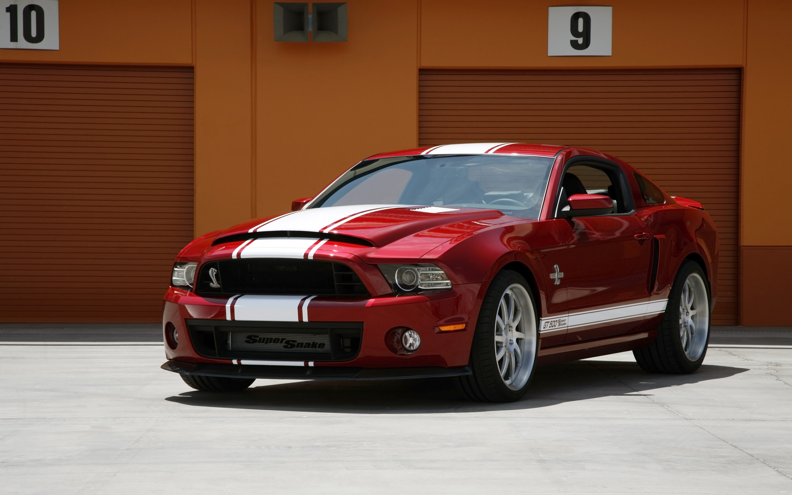 2560x1600 2014 Ford Mustang Shelby GT500 Super Snake | HD Car Wallpaper