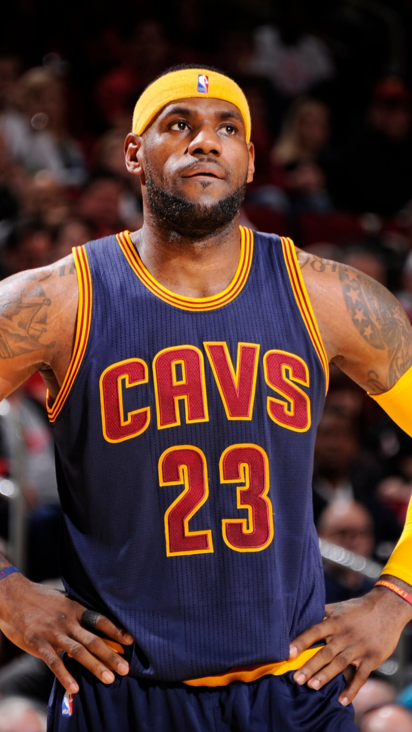 1440x2560 Preview wallpaper lebron james, nba, cleveland cavaliers 
