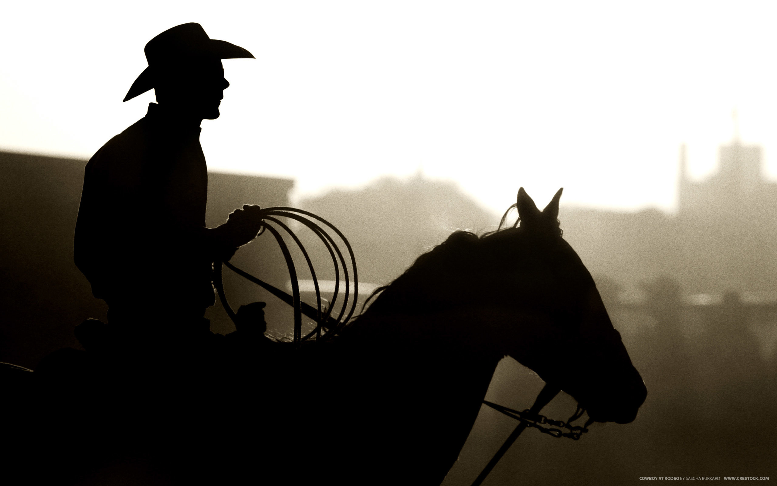 2560x1600 Cowboy at Rodeo | 2560 x 1600 | Download | Close