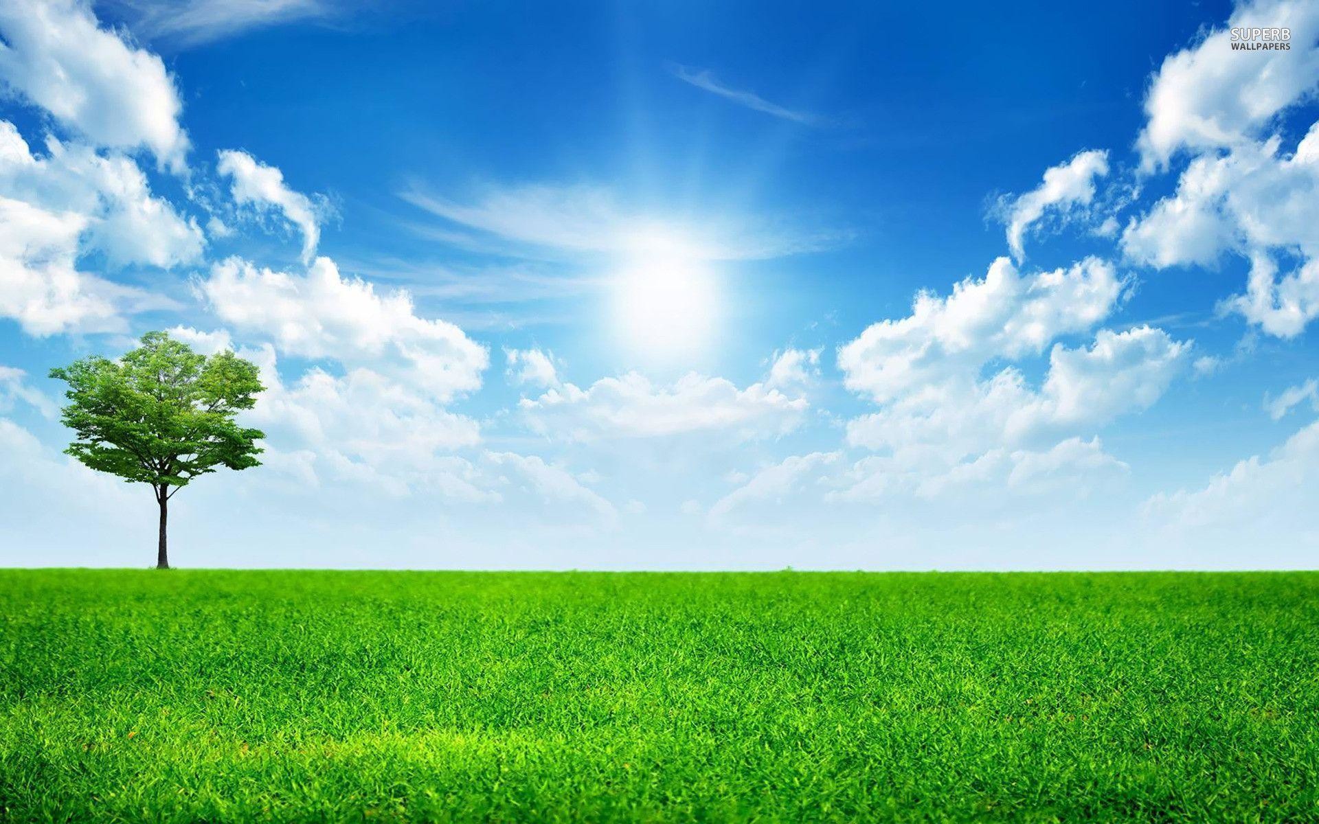 1920x1200 Sunny blue sky wallpaper - Nature wallpapers - #