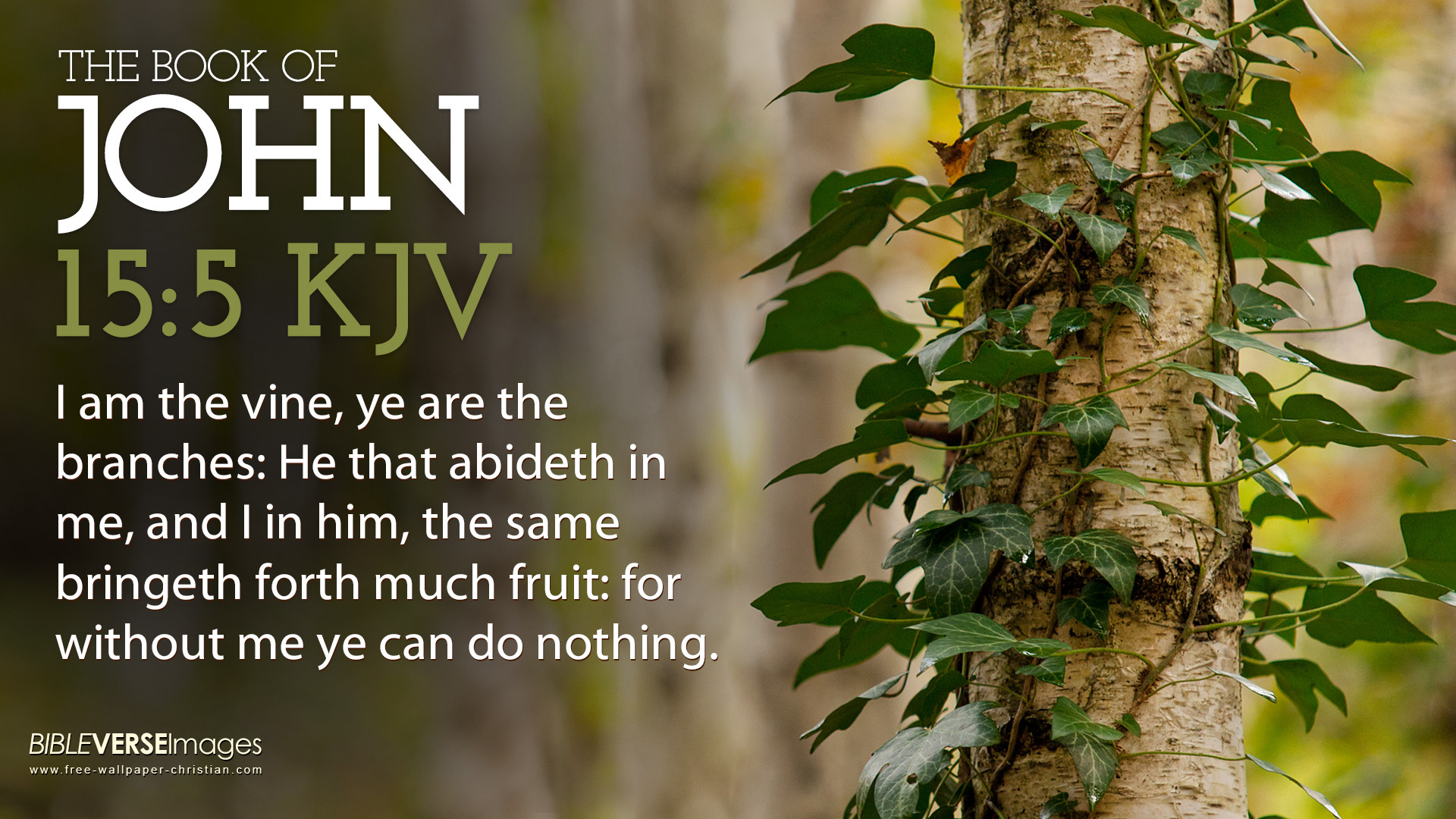 1920x1080 John 15:5 – I am the Vine