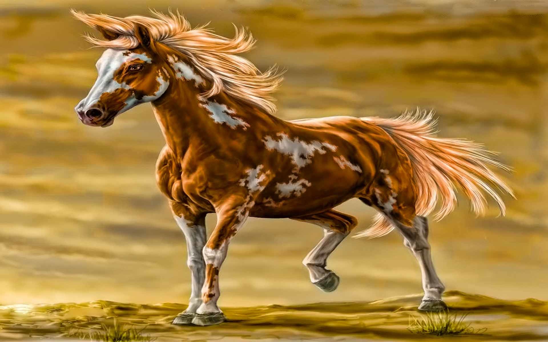 1920x1200 Tiger Horse Desktop Background. Download  ...