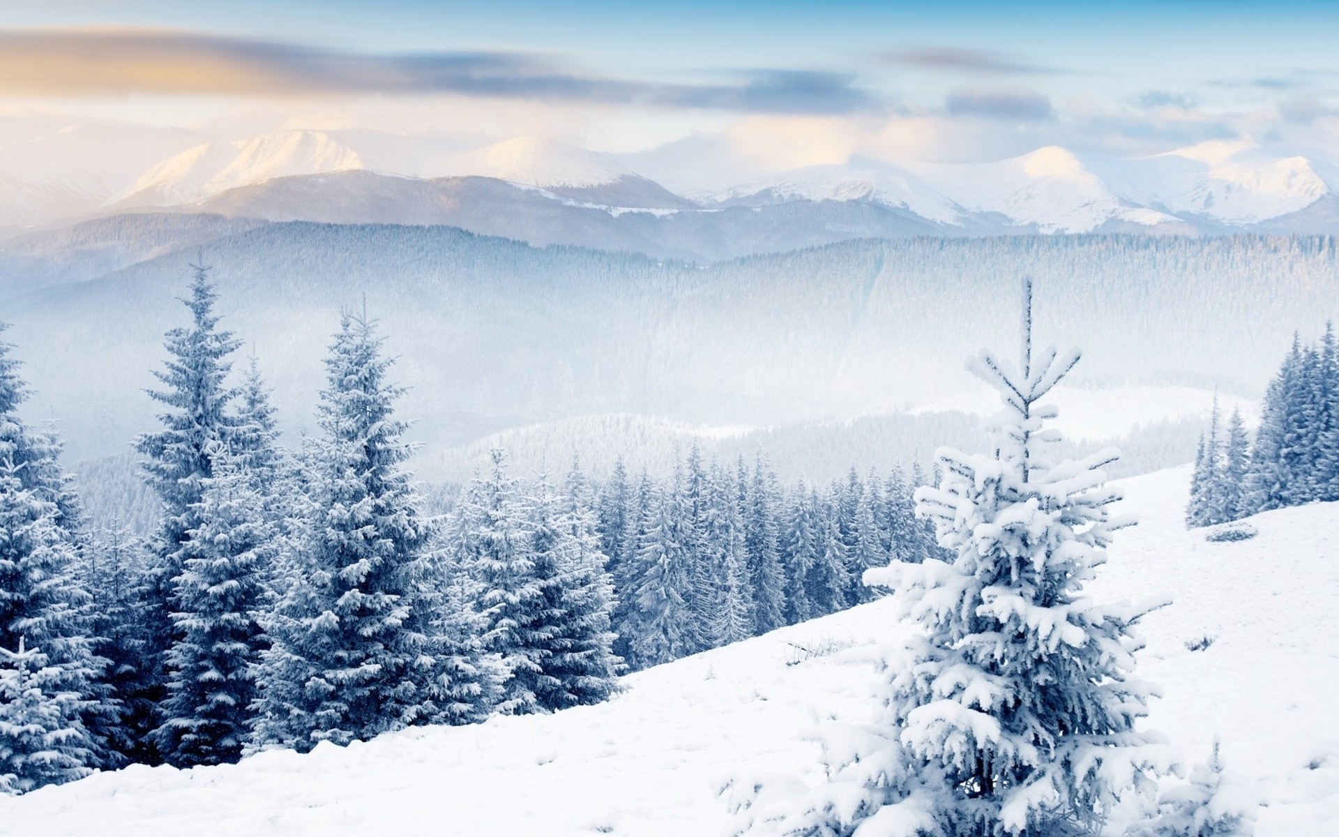 1920x1200 Mountain Snow Scenes Winter scenes