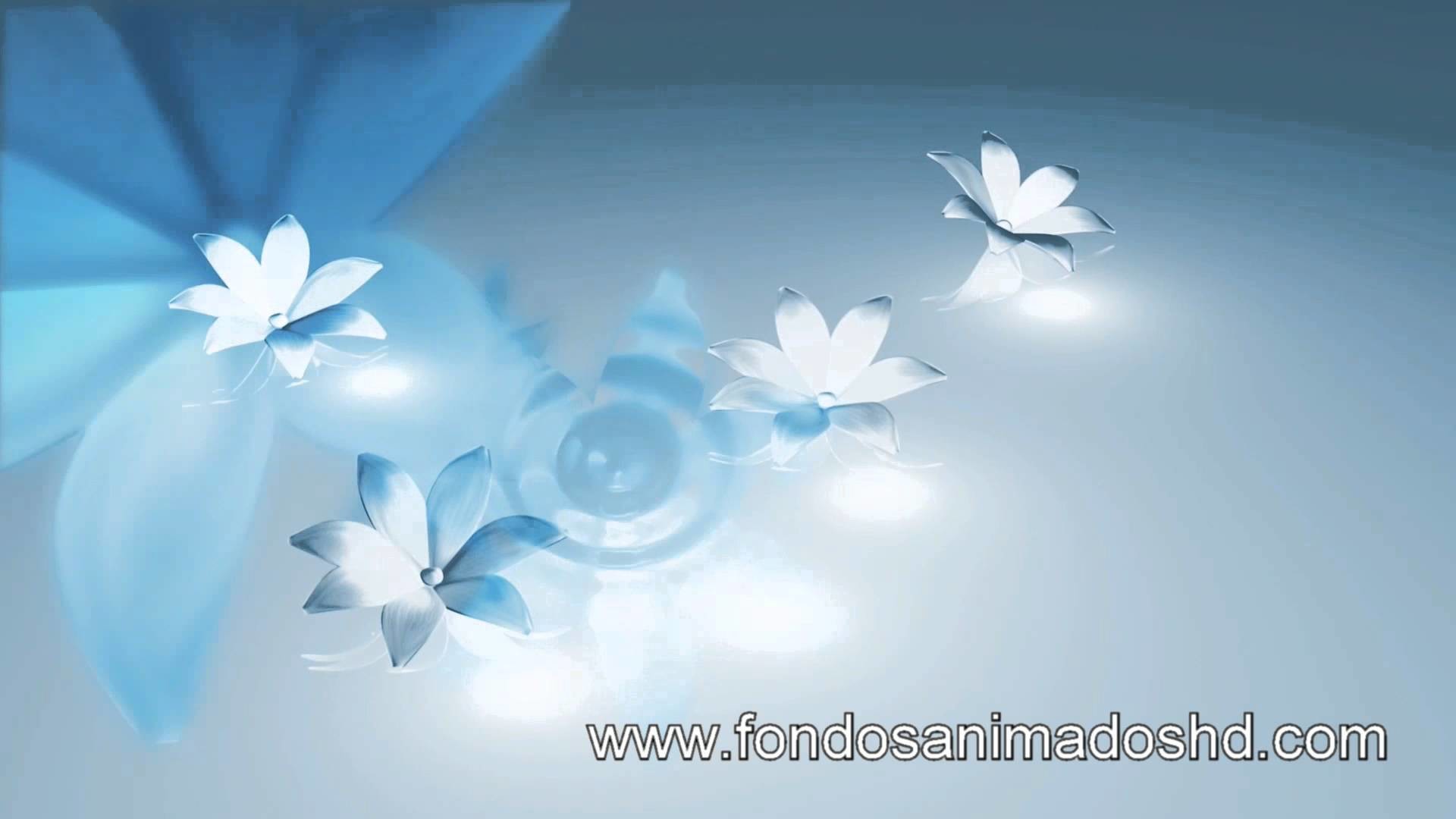 1920x1080 18 Flores para Bodas y XV AÃ±os Fondos Animados HD Gratis Motion Backgrounds  Free Wedding Flowers - YouTube