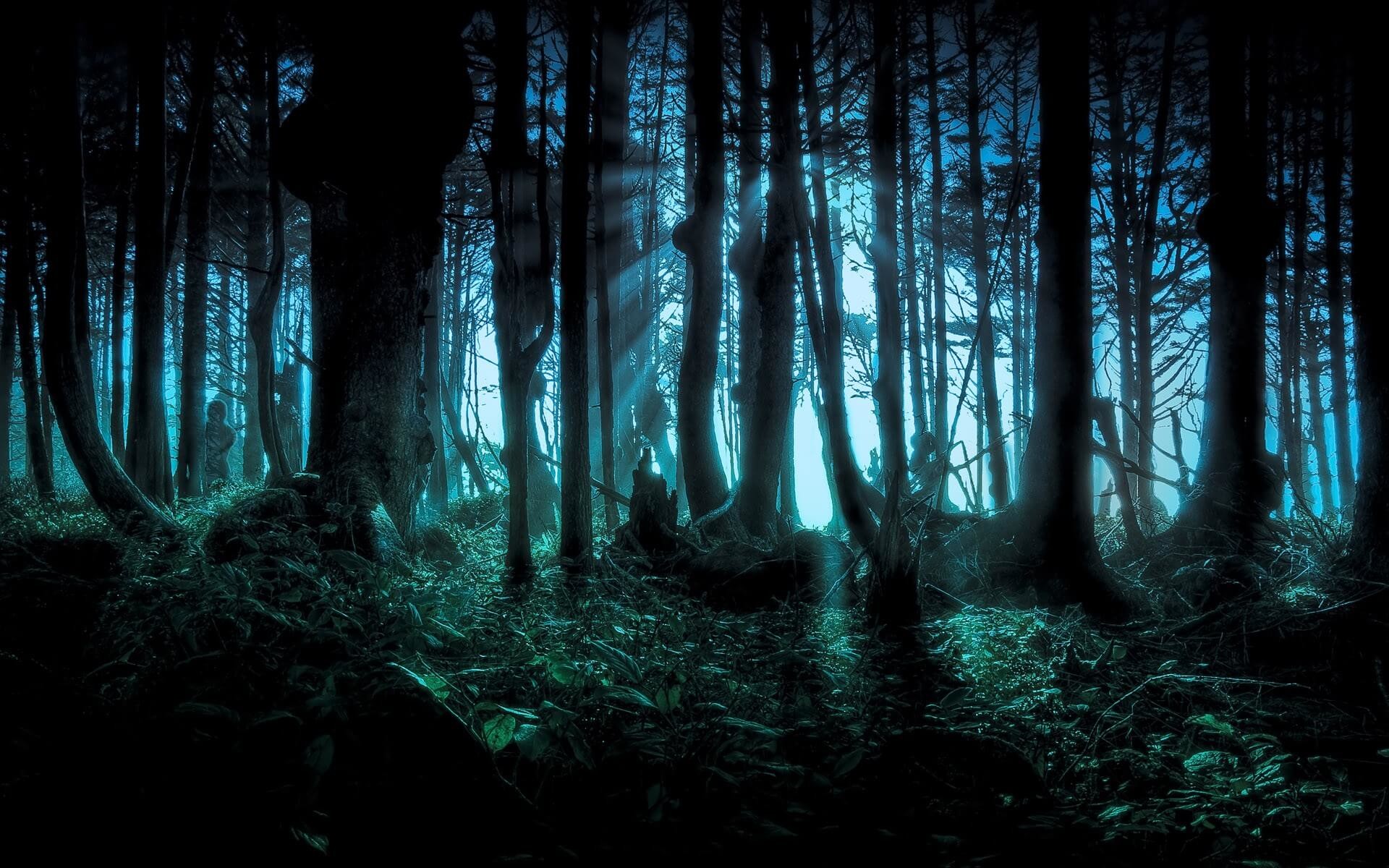 1920x1200 happy halloween wallpaper scary forest trees