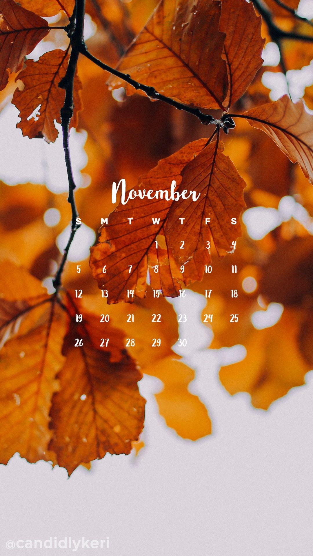 1080x1920 Golden changing fall leaves November calendar 2017 wallpaper you can  download on the blog! For any device; mobile, desktop, iphone, android!