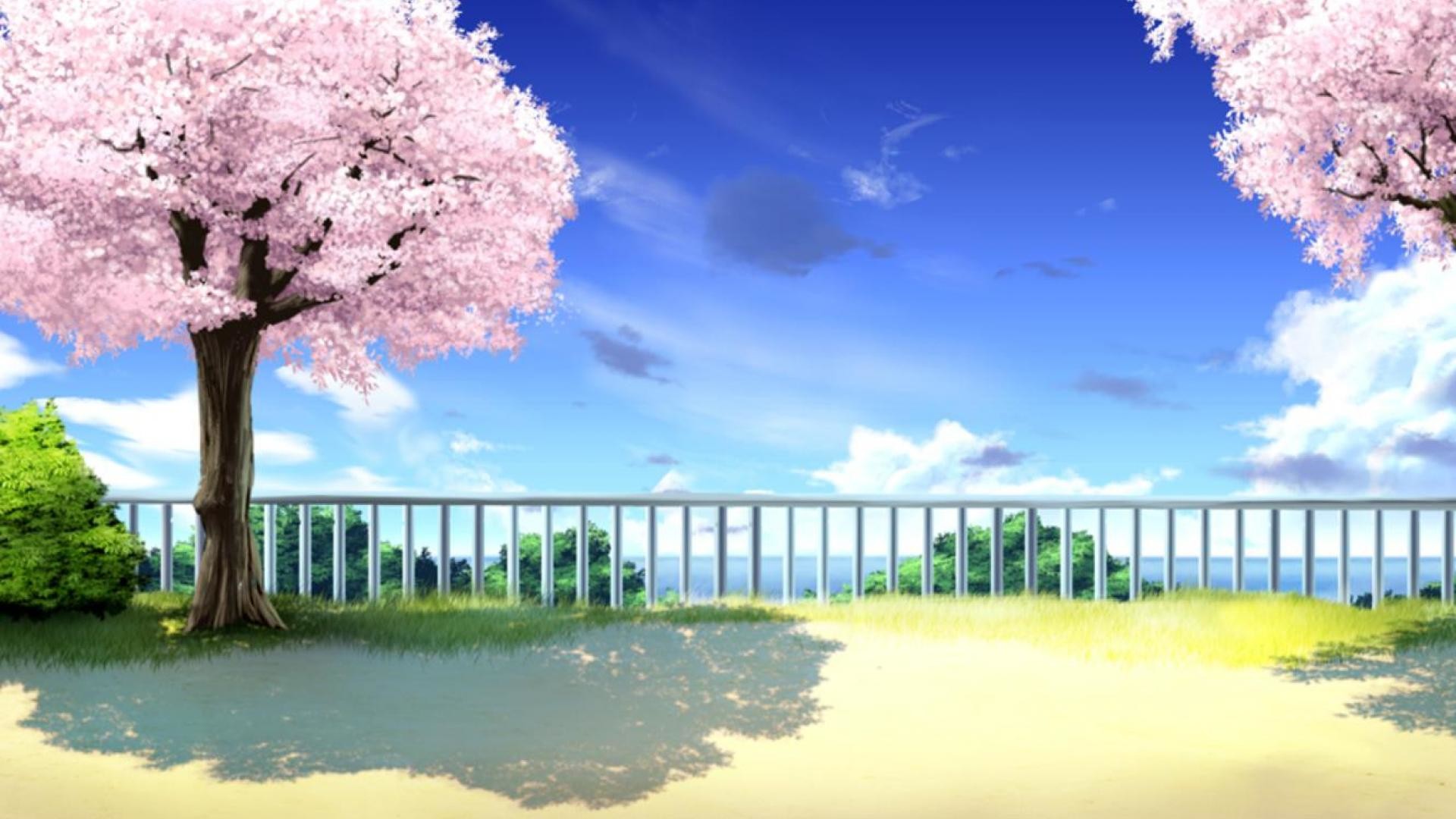 1920x1080 Anime Cherry Blossom Background Full HD.
