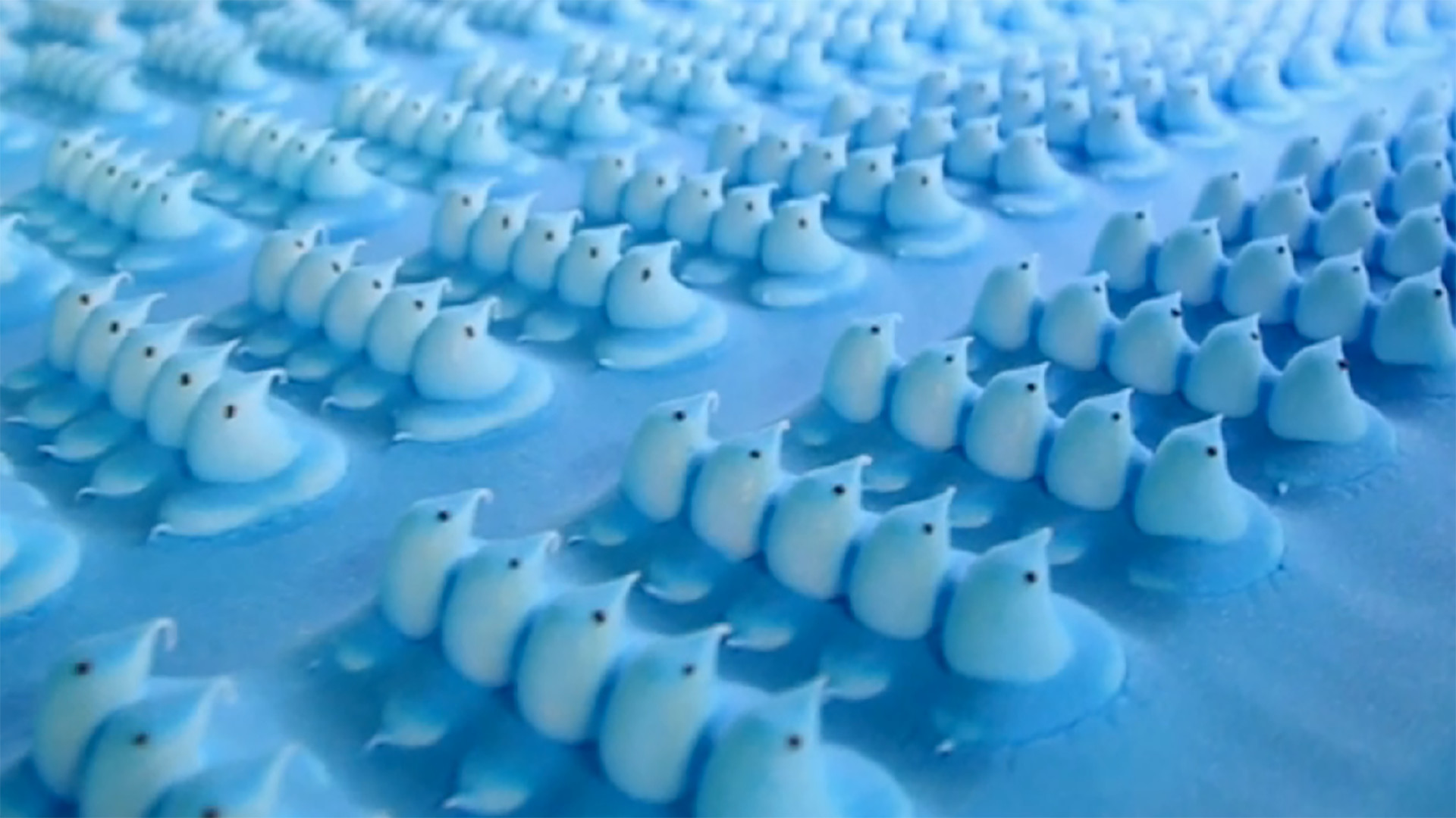 1920x1080 See how marshmallow Peeps are made, from start to finish