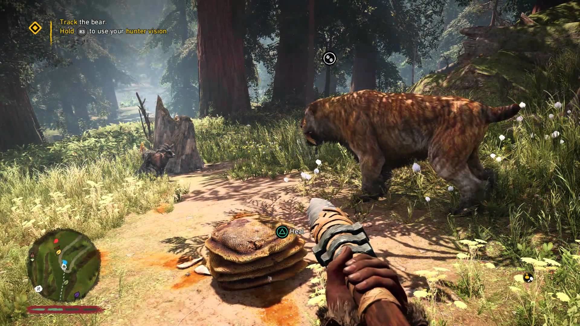 Far Cry Primal Саблезубый тигр