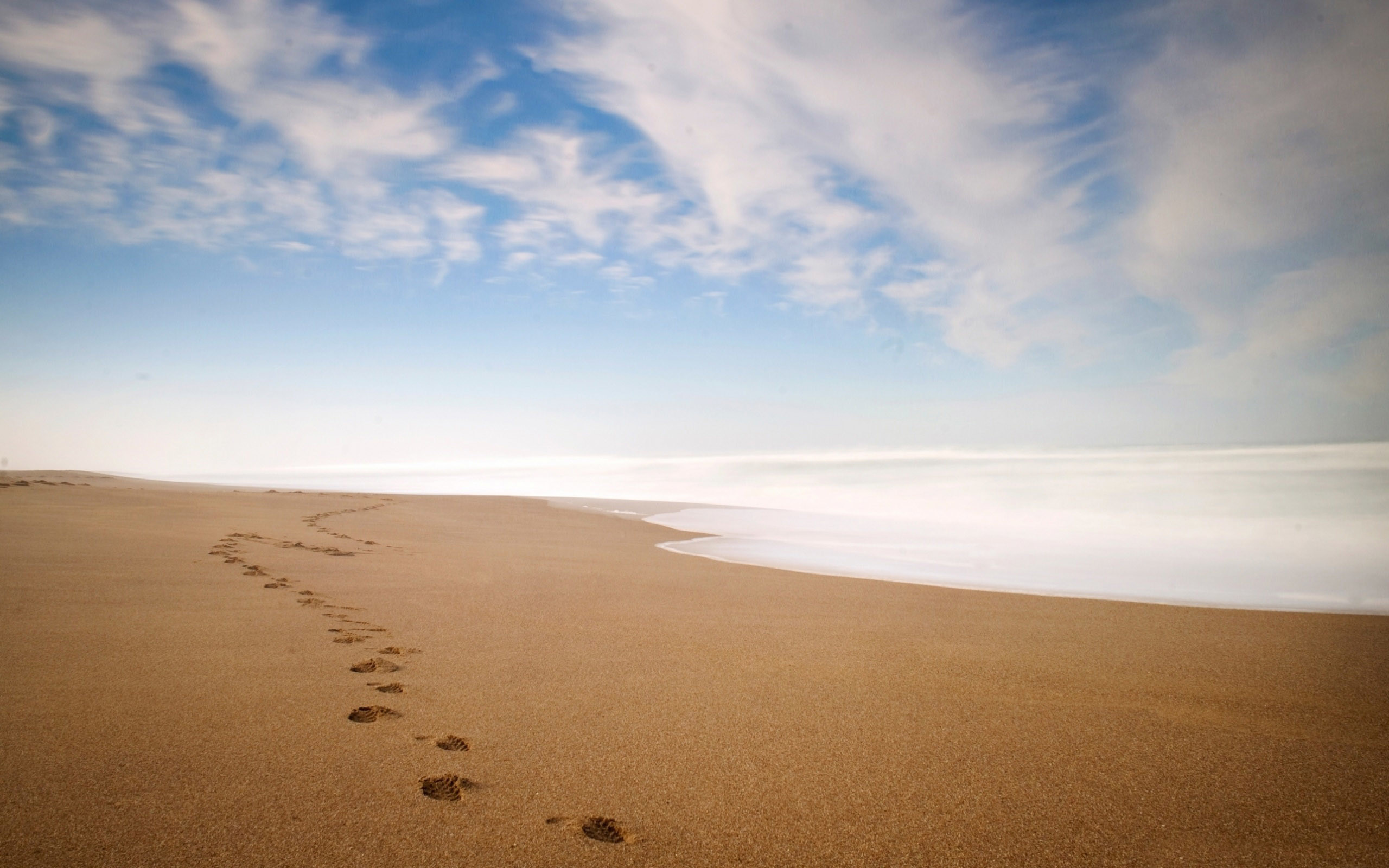 2560x1600 Footprints In The Sand Iphone Panoramic Wallpaper HD Pic
