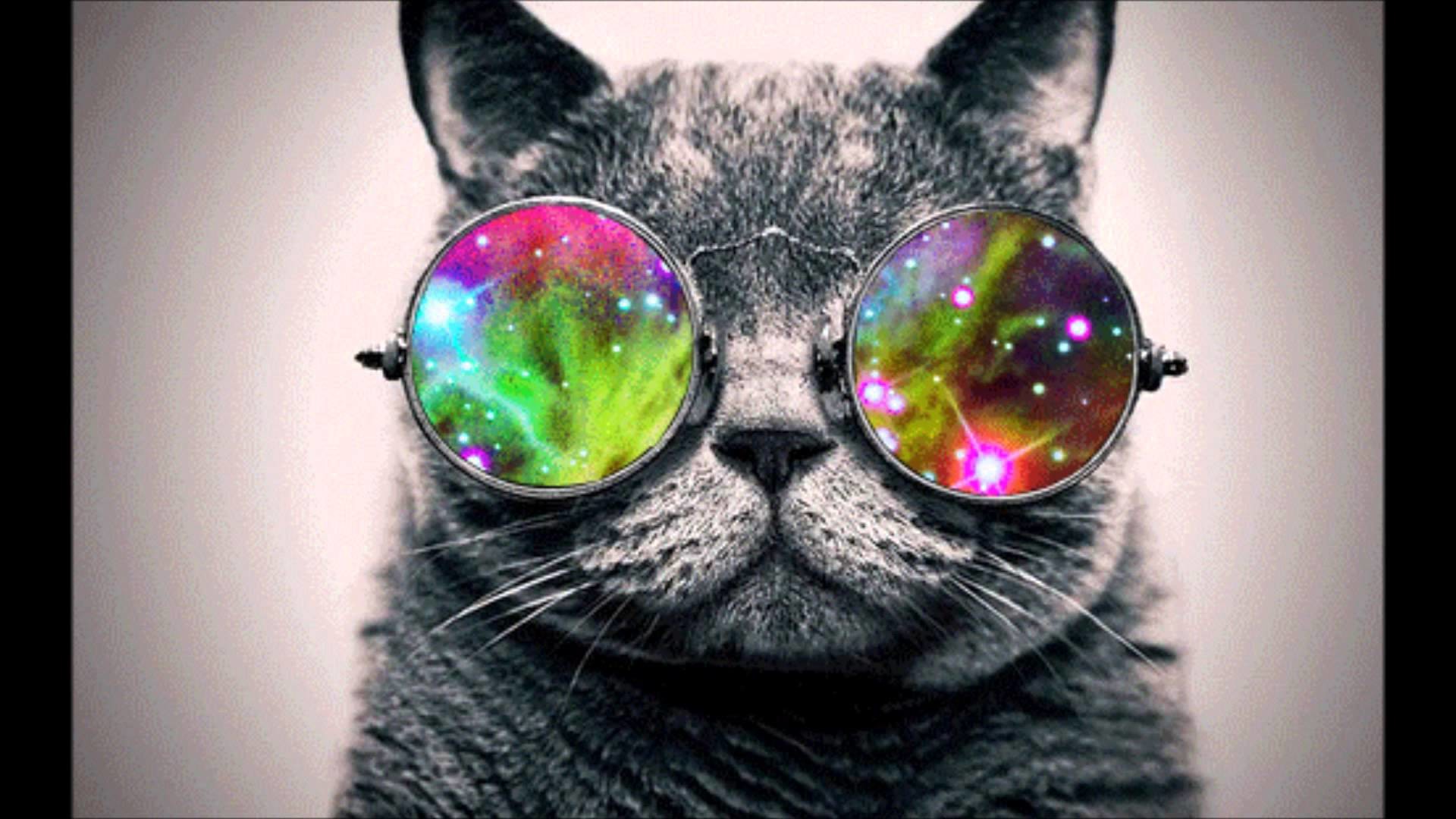Cool Cat Wallpapers (71+ images)