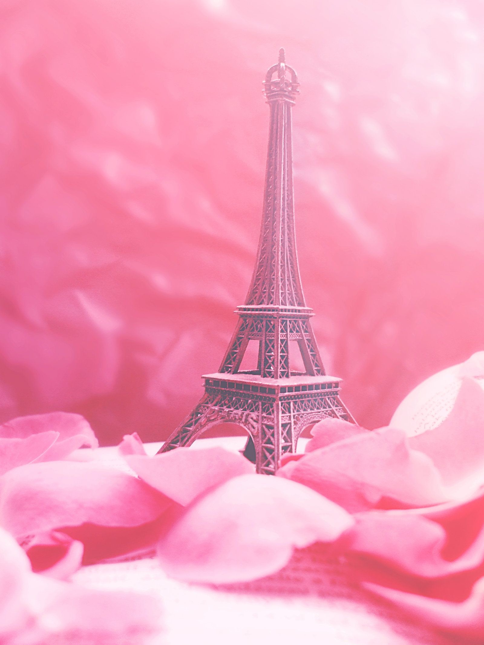 1600x2133 Pink Eiffel Tower Wallpaper | PiP - Paris in Pink by Redanshy on deviantART