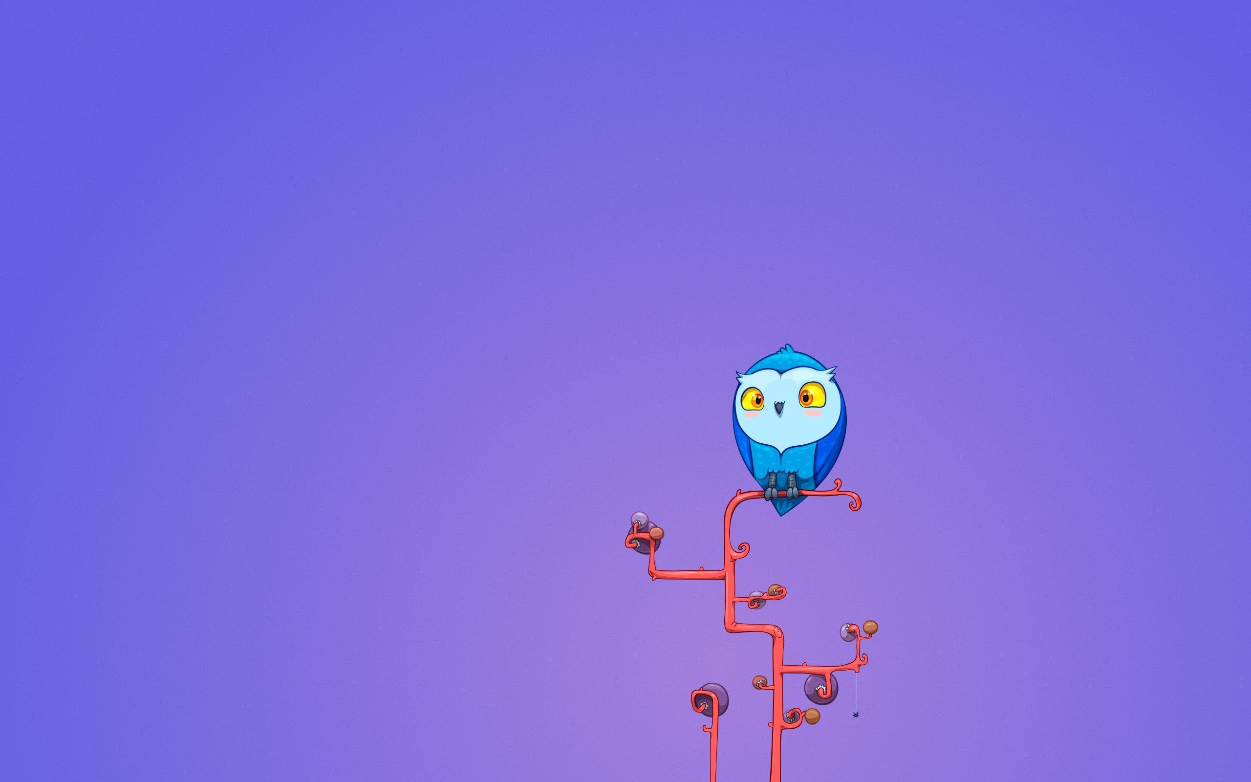 2560x1600 Owl Tumblr Wallpapers Background