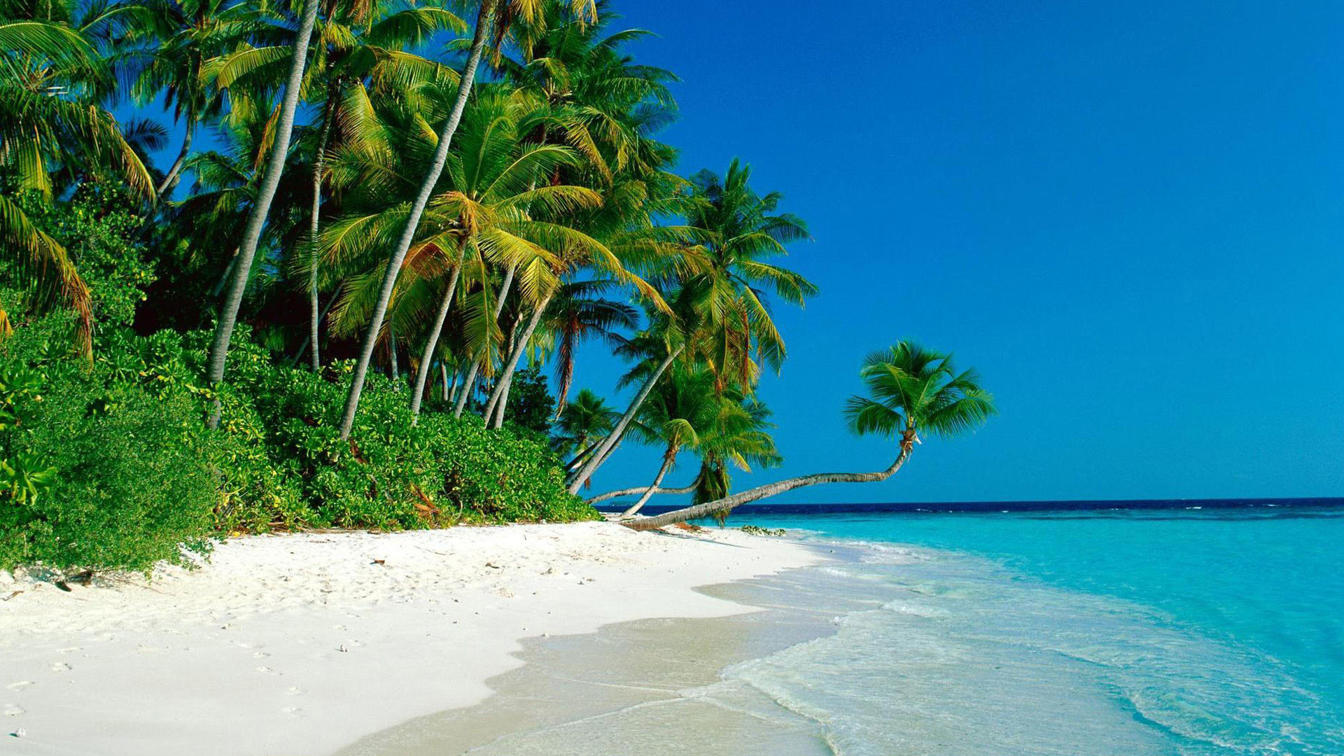 1920x1080 hd pics photos awesome beautiful beach blue sea coconut tree hd quality desktop  background wallpaper