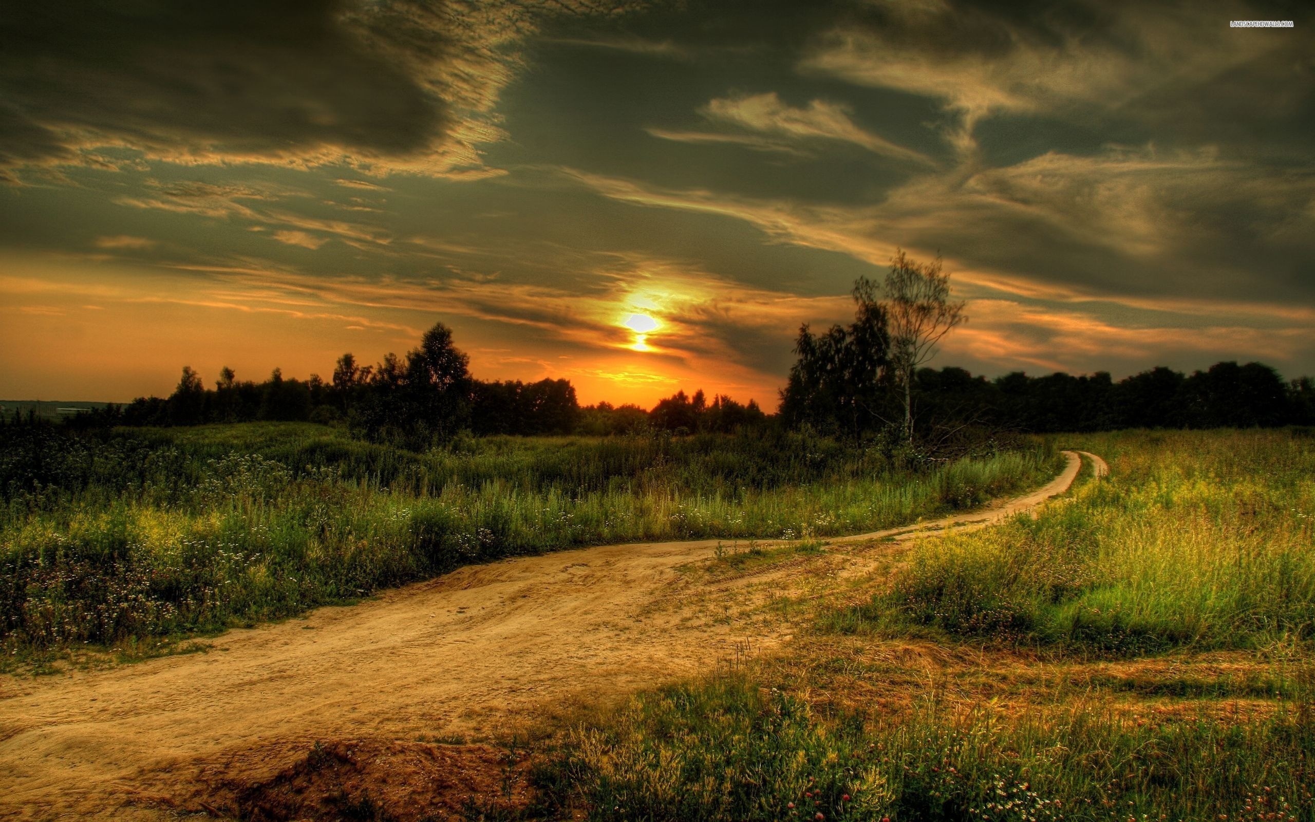 2560x1600 Country Dirt Road Sunset
