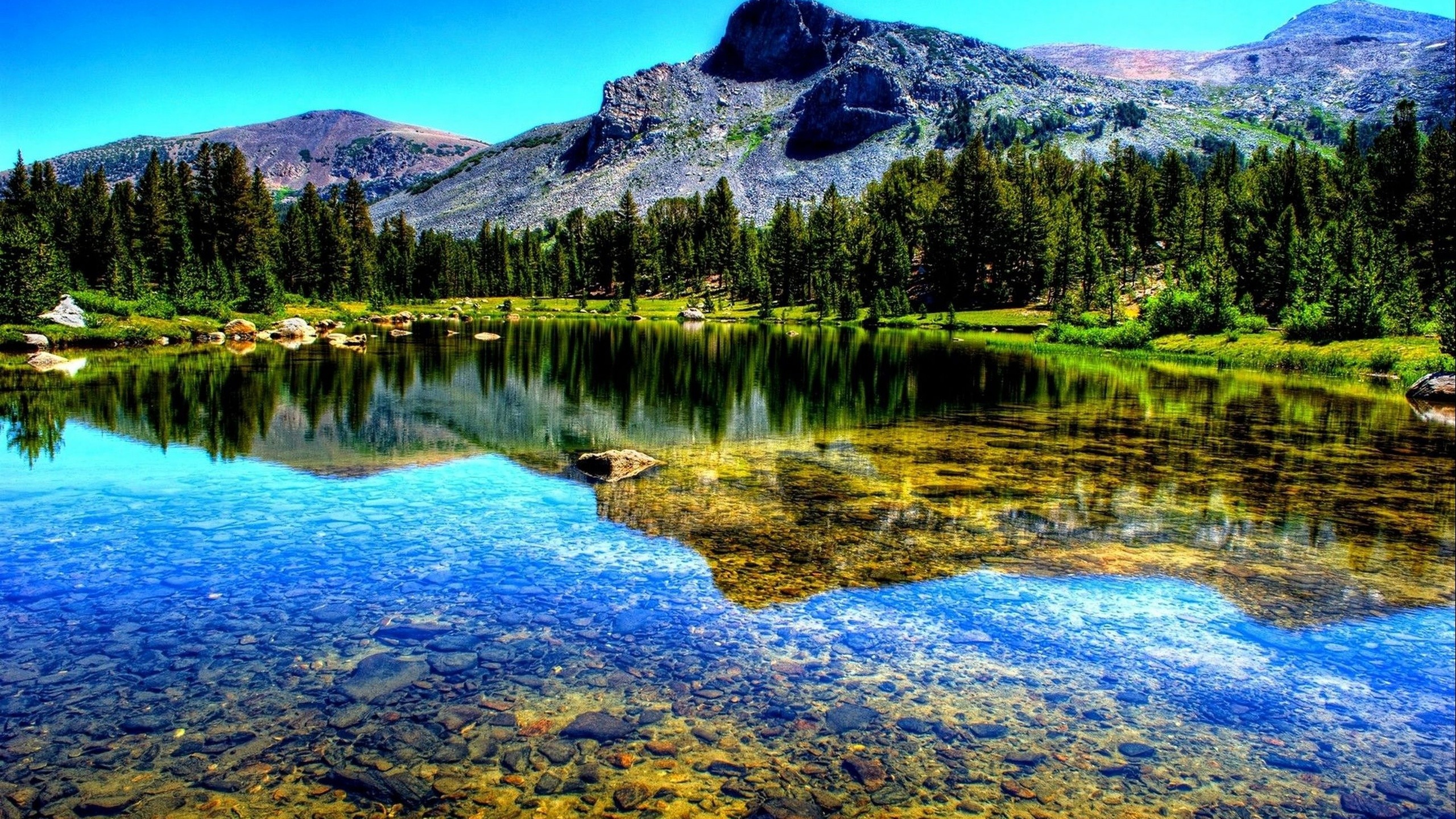 2560x1440 Lake Tahoe Mountain Pine Forest Crystal Clear Water Reflection Emerald Bay  State Park Is A State Park Of California In The United States 2560Ã1440