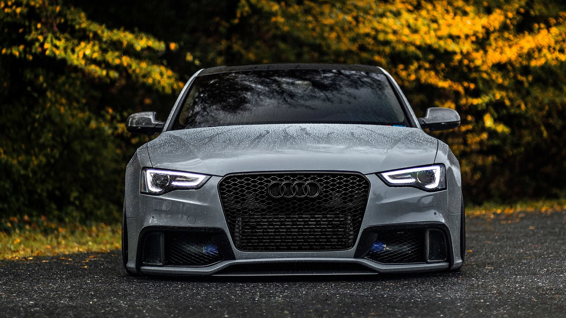 1920x1080 Audi RS5 wallpapers