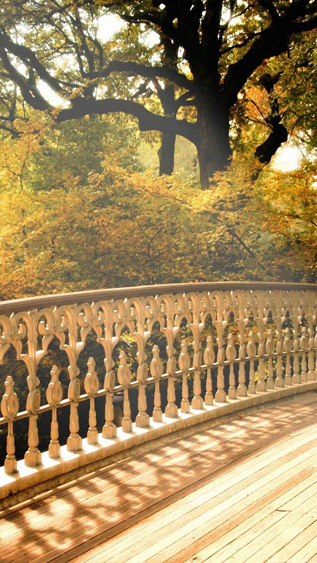 1080x1920  tree bridge autumn wooden iPhone 6 wallpapers HD - 6 Plus  backgrounds