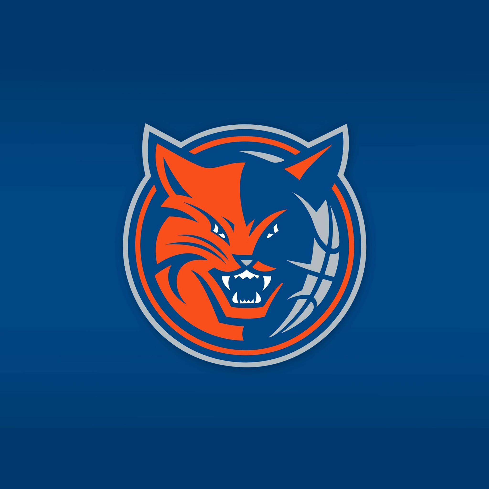 2048x2048 Iphone Charlotte Bobcats Wallpapers Full HD Pictures
