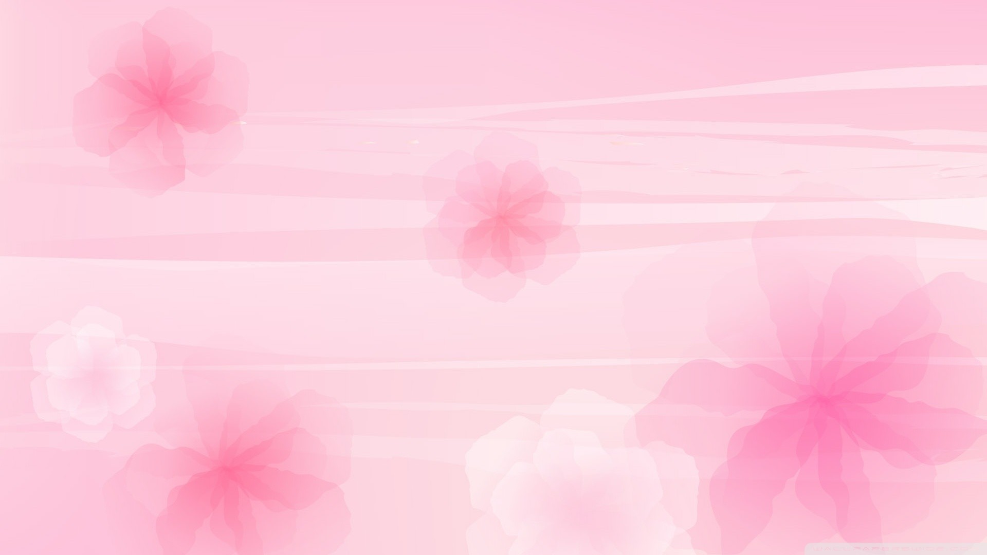 1920x1080 Pink Wallpaper - Colors Wallpaper (34511779) - Fanpop