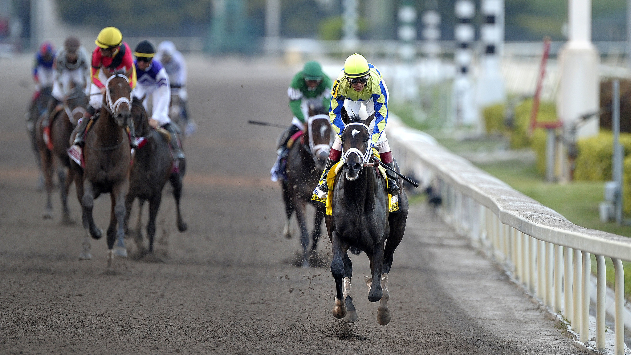 2048x1152 Panthers owner Vincent Viola wins Florida Derby with Always Dreaming - Sun  Sentinel