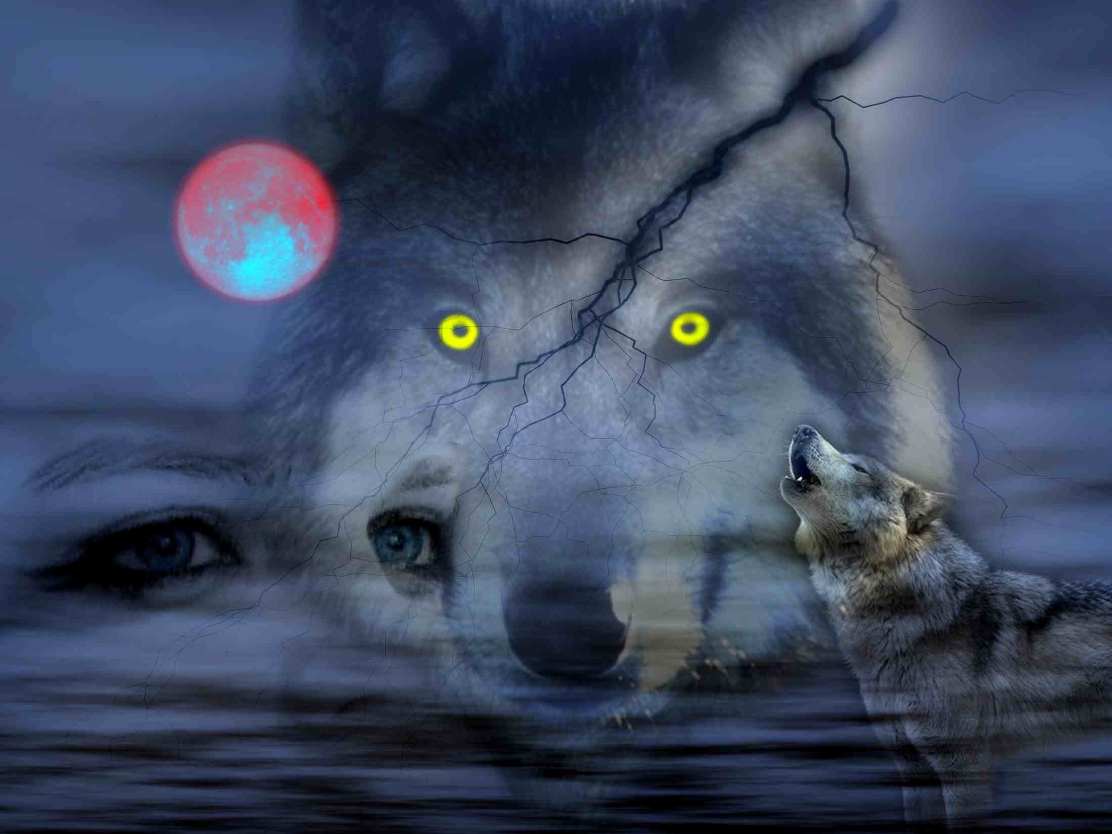 2200x1650 Night Of Wolves wallpaper free