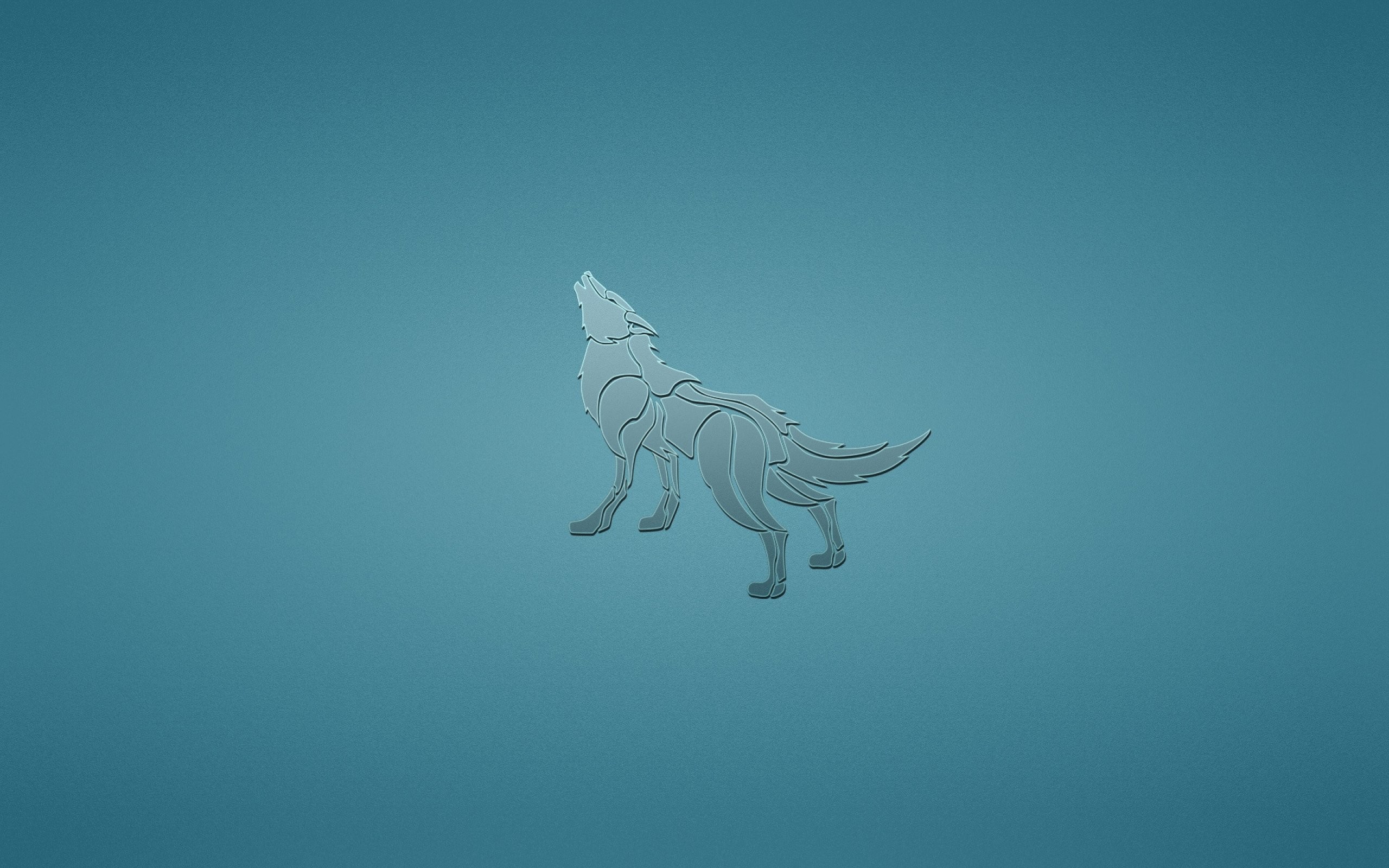2560x1600 Wolf wolves predator carnivore minimal minimalism d .