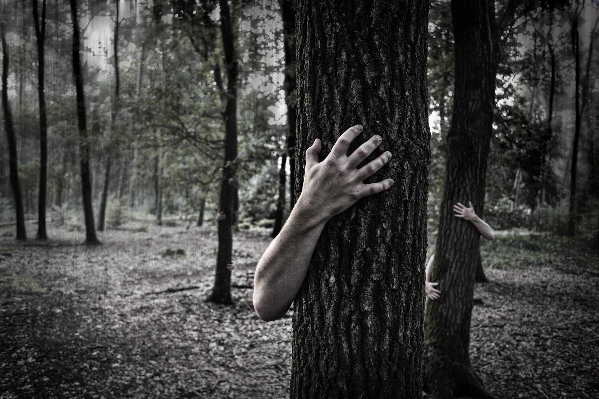 1920x1280 Hands Trunk Creepy Zombie Forest Horror Scary Forest Wallpaper At Dark  Wallpapers
