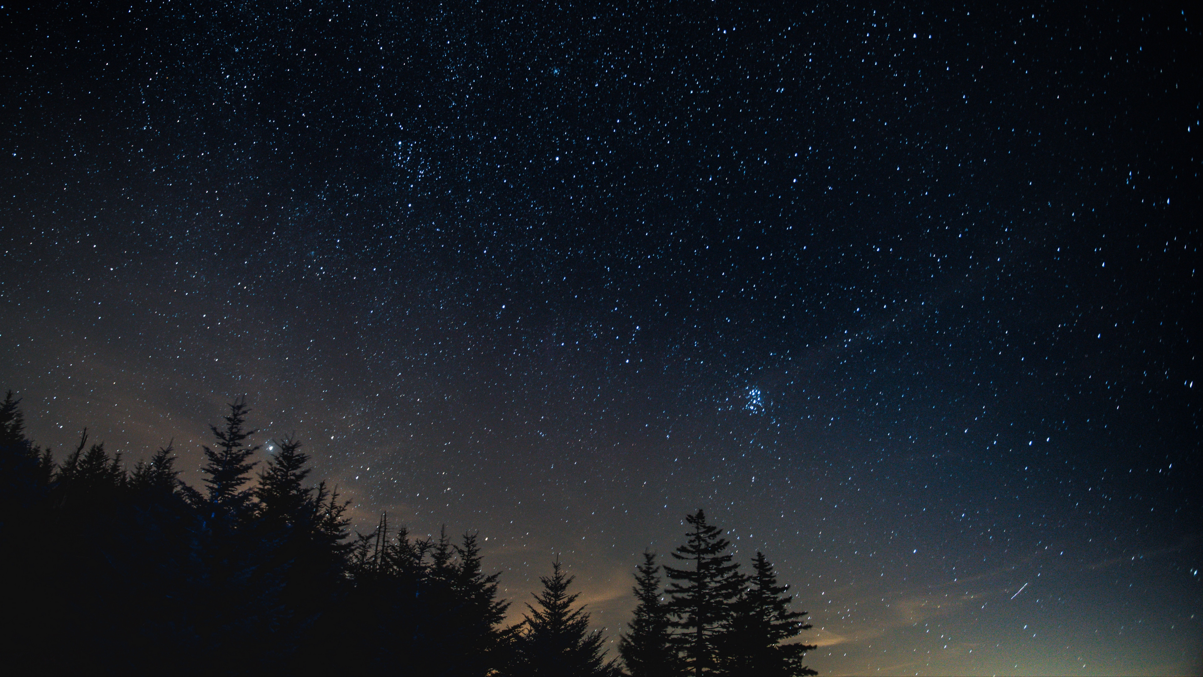 3840x2160 Starry sky night trees night landscape wallpaper[] ...