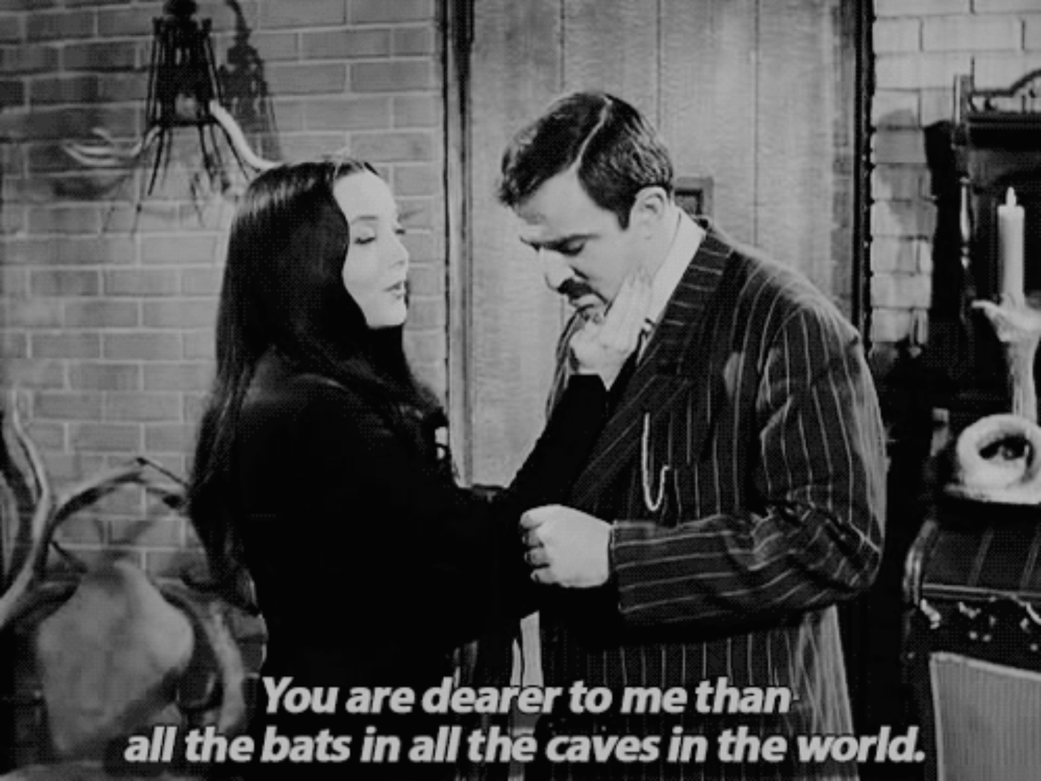 2048x1536 love cute couple cute Bat quote Black and White movie old lovely true love  the addams family oldschool black white Gomez Addams Morticia Addams movie  quotes ...