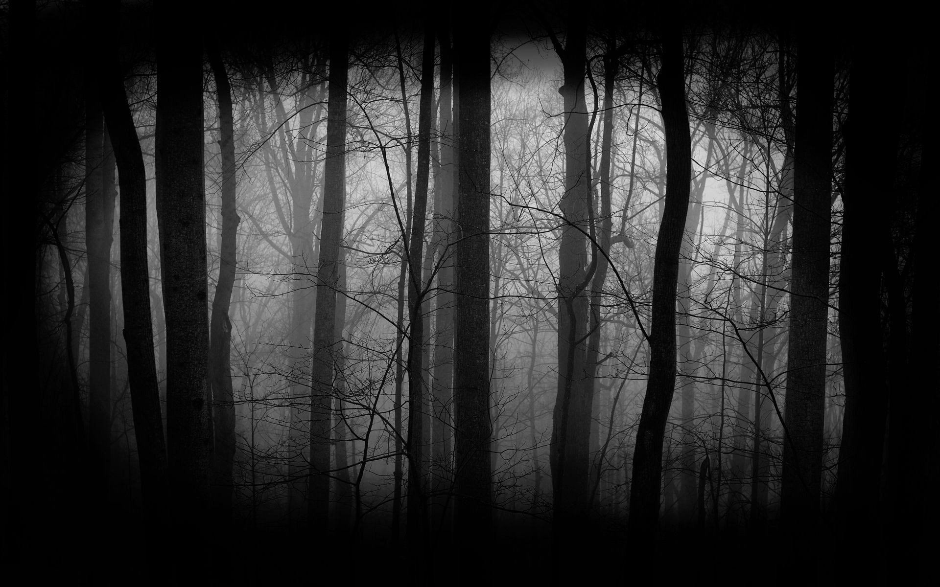 1920x1200 Real Ghost Story: The Black Mass in the Woods