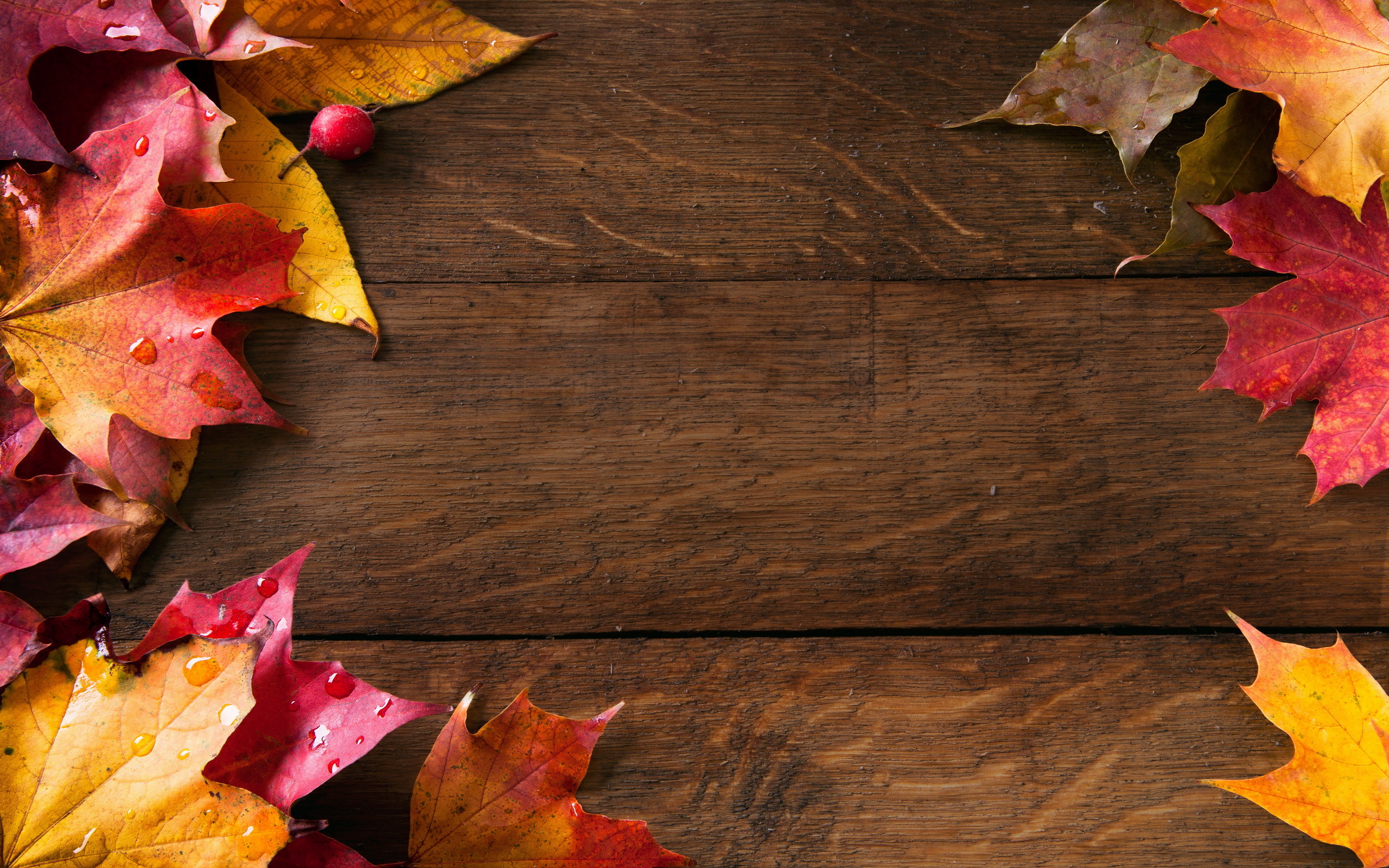 2560x1600  Best 25+ Autumn desktop wallpaper ideas on Pinterest | Fall  wallpaper, Wallpapers for desktop and Fall desktop backgrounds