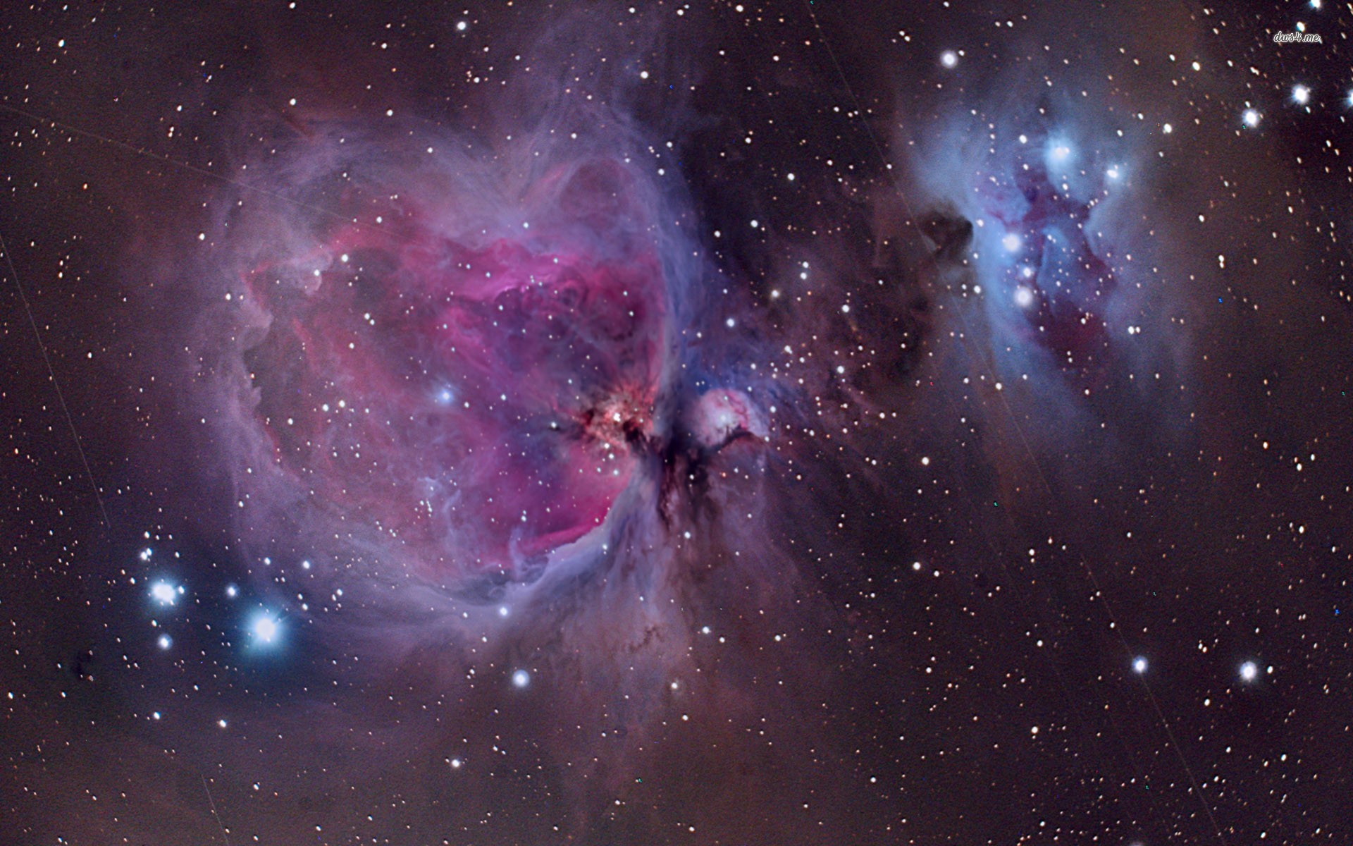 1920x1200 Orion Nebula wallpaper Space wallpapers 7375 