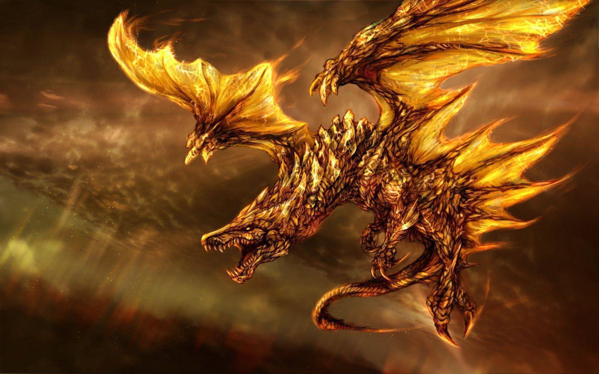 1920x1200 Wallpapers For > Fire Dragon Wallpaper Hd