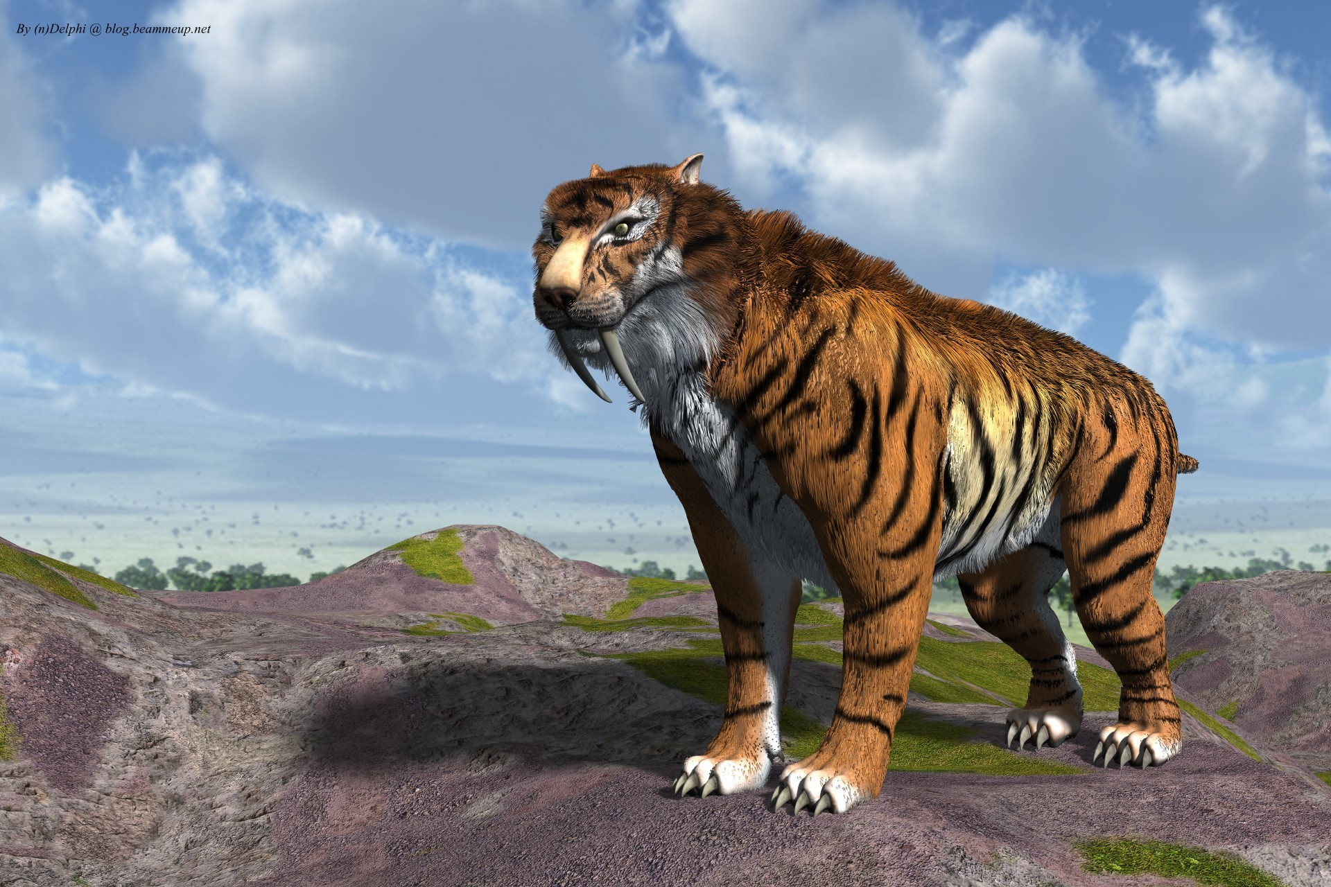 1920x1280 Sabertooth Tiger (Smilodon Fatalis) by nDelphi on DeviantArt