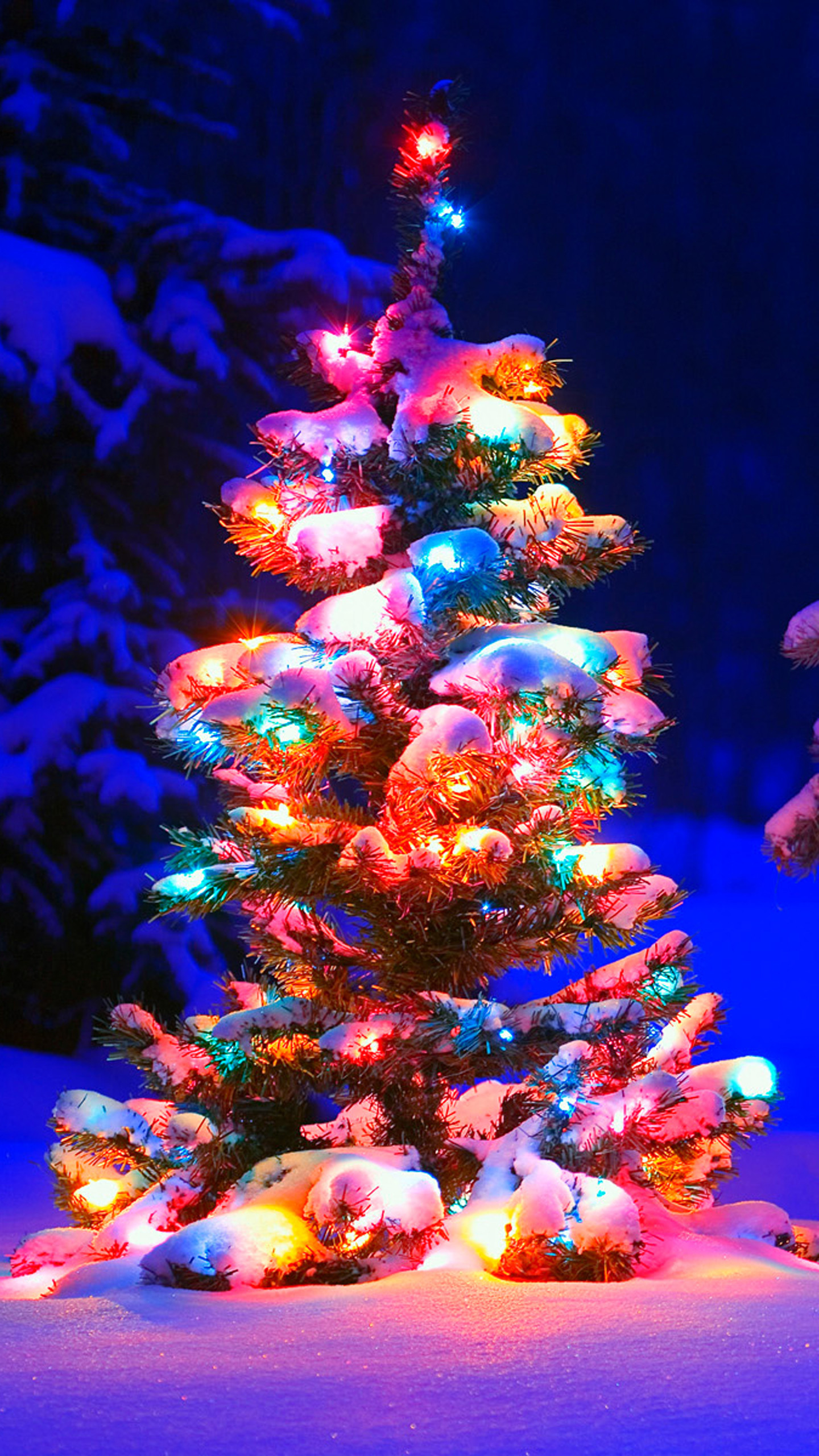 1440x2560 Christmas Tree Lights Snow