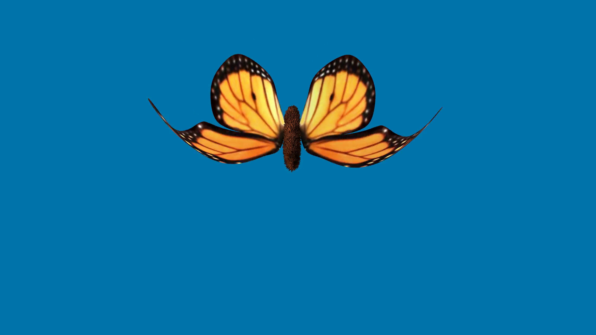 1920x1080 Monarch butterfly flapping wings gracefully in slow motion . Front View.  Sylized 3d animation.