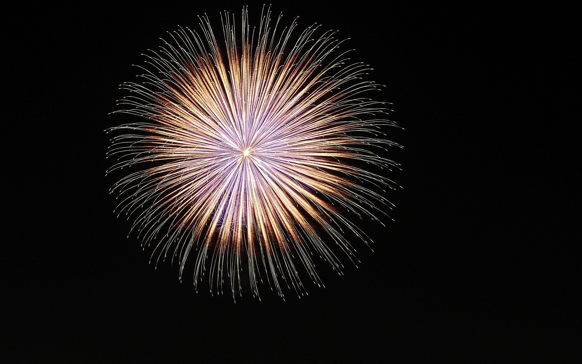 1920x1200 dark background fireworks sky night lights flower