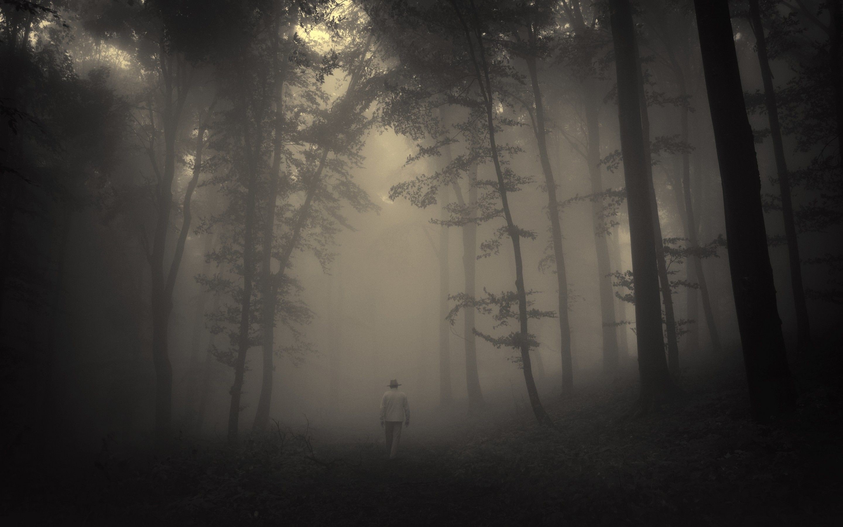 2880x1800 Download Creepy Forest Wallpaper For Windows #lxiua .