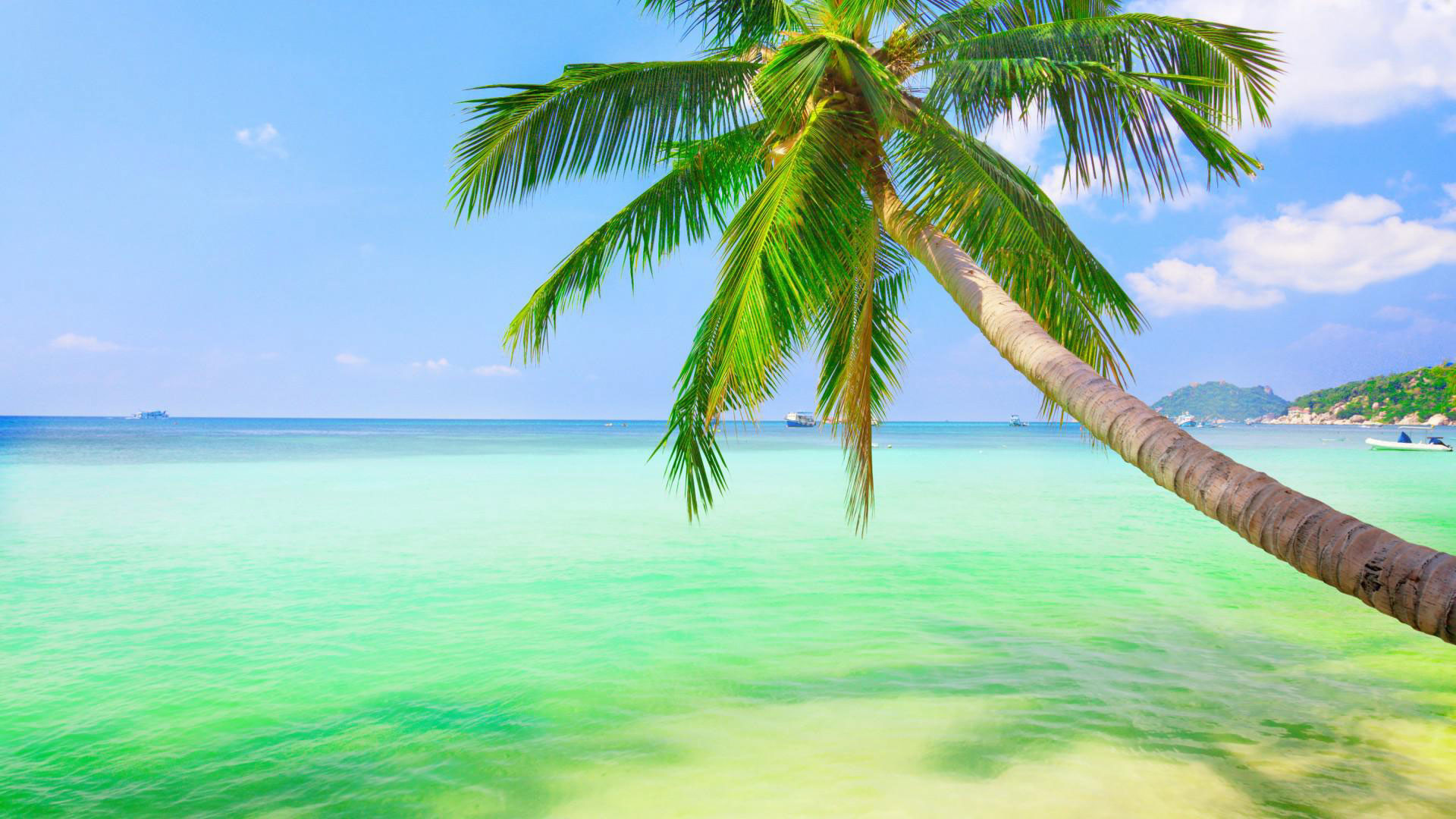 1920x1080 hd pics photos attractive best beach coconut tree blue green hd quality desktop  background wallpaper