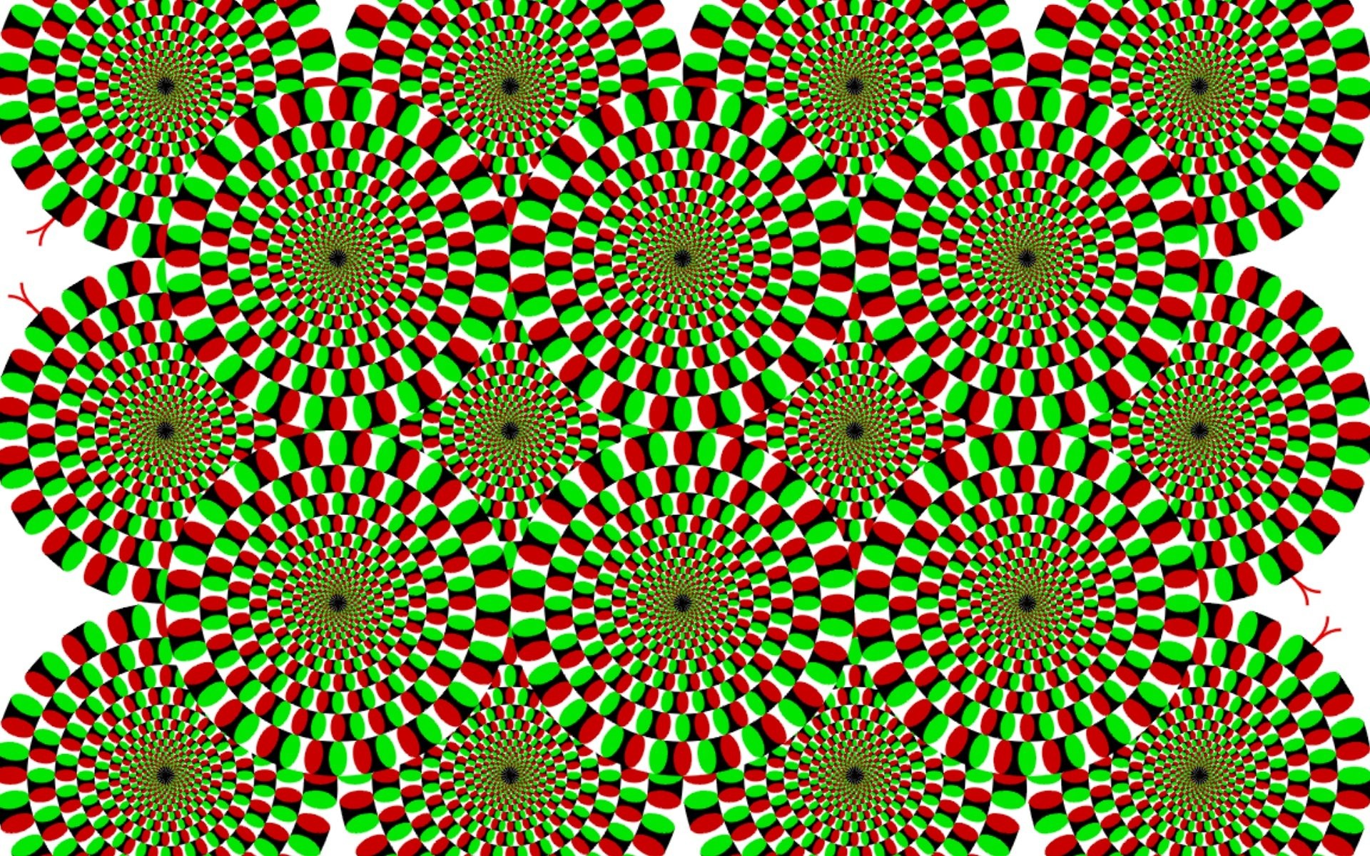 1920x1200 ... wallpapers; rotating snake illusion 713840 walldevil ...